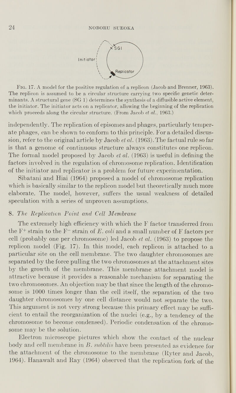 Fig. 17. A model for the positive regulation of a replicon (Jacob and Brenner, 1963). The replicon is assumed to be a circular structure carrying two specific genetic deter minants. A structural gene (SG 1) determines the synthesis of a diffusible active element, the initiator. The initiator acts on a replicator, allowing the beginning of the replication which proceeds along the circular structure. (From Jacob et al., 1963.) independently. The replication of episomes and phages, particularly temper ate phages, can be shown to conform to this principle. For a detailed discus sion, refer to the original article by Jacob et al. (1963). The factual rule so far is that a genome of continuous structure always constitutes one replicon. The formal model proposed by Jacob et al. (1963) is useful in defining the factors involved in the regulation of chromosome replication. Identification of the initiator and replicator is a problem for future experimentation. Sibatani and Hiai (1964) proposed a model of chromosome replication which is basically similar to the replicon model but theoretically much more elaborate. The model, however, suffers the usual weakness of detailed speculation with a series of unproven assumptions. 8. The Replication Point and Cell Membrane The extremely high efficiency with which the F factor transferred from the F + strain to the F~ strain of E. coli and a small number of F factors per cell (probably one per chromosome) led Jacob et al. (1963) to propose the replicon model (Fig. 17). In this model, each replicon is attached to a particular site on the cell membrane. The two daughter chromosomes are separated by the force pulling the two chromosomes at the attachment sites by the growth of the membrane. This membrane attachment model is attractive because it provides a reasonable mechanism for separating the two chromosomes. An objection may be that, since the length of the chromo some is 1000 times longer than the cell itself, the separation of the two daughter chromosomes by one cell distance would not separate the two. This argument is not very strong because this primary effect may be suffi cient to entail the reorganization of the nuclei (e.g., by a tendency of the chromosome to become condensed). Periodic condensation of the chromo some may be the solution. Electron microscope pictures which show the contact of the nuclear body and cell membrane in B. subtilis have been presented as evidence for the attachment of the chromosome to the membrane (Ryter and Jacob, 1964). Hanawalt and Ray (1964) observed that the replication fork of the