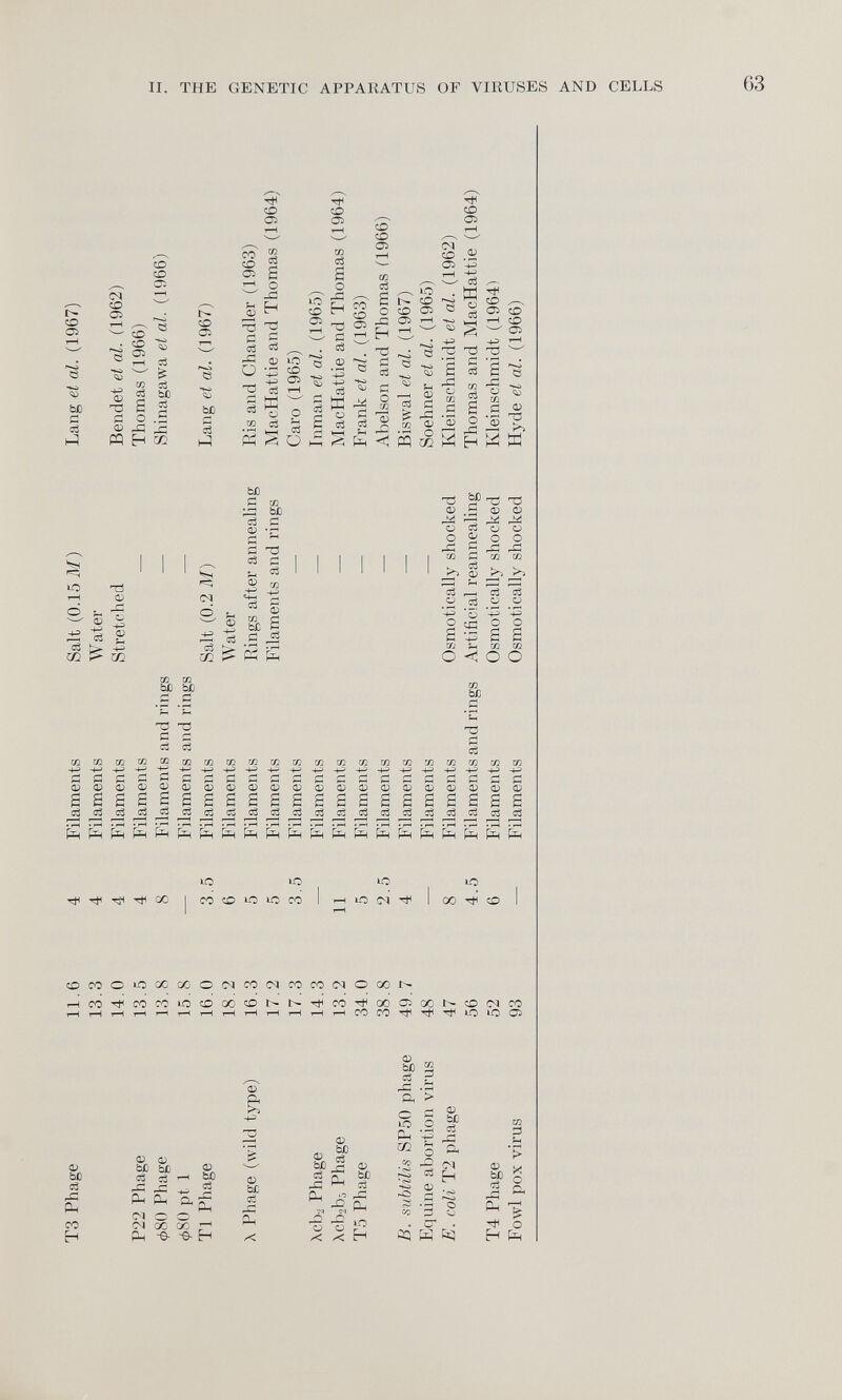 T3 Phage 11.6 4 Filaments Salt (0.15 M) Lang et al. (1967) 13.3 4 Filaments Water 14.0 4 Filaments Stretched Bendet et al. (1962) P22 Phage 13.5 4 Filaments — Thomas (1966) 080 Phage 13.8 8 Filaments and rings — Shinagawa et al. (1966) 080 pt 1 15.8 — Filaments and rings — T1 Phage 16.0 3.5 Filaments Salt (0.2 M) Lang et al. (1967) 18.2 6 Filaments Water X Phage (wild type) 16.3 5 Filaments Rings after annealing Ris and Chandler (1963) 17.2 5 Filaments Filaments and rings MacHattie and Thomas (1964) 17.3 3.5 Filaments — Caro (1965) Xcb 2 Phage 14.3 — Filaments — Inman et al. (1965) Xcb 2 bi Phage 13.2 11 Filaments — MacHattie and Thomas (1964) T5 Phage 34.0 5 Filaments — Frank et al. (1963) 38.8 2.5 Filaments — Abelson and Thomas Cl966) B. subtilis SP50 phage 49.7 4 Filaments — Biswal et al. (1967) Equine abortion virus 48 — Filaments — Soehner et al. (1965) E. coli T2 phage 47 8 Filaments Osmotically shocked Kleinschmidt et al. (1962) 56 4.5 Filaments and rings Artificial reannealing Thomas and MacHattie (1964) T4 Phage 52 6 Filaments Osmotically shocked Kleinschmidt (1964) Fowl pox virus 93 — Filaments Osmotically shocked Hyde el al. (1966) oo II. THE GENETIC APPARATUS OF VIRUSES AND CELLS