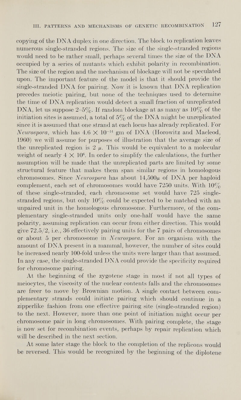 copying of the DN A duplex in one direction. The block to replication leaves numerous single-stranded regions. The size of the single-stranded regions would need to be rather small, perhaps several times the size of the DNA occupied by a series of mutants which exhibit polarity in recombination. The size of the region and the mechanism of blockage will not be speculated upon. The important feature of the model is that it should provide the single-stranded DNA for pairing. Now it is known that DNA replication precedes meiotic pairing, but none of the techniques used to determine the time of DNA replication would detect a small fraction of unreplicated DNA, let us suppose 2-5%. If random blockage at as many as 10% of the initiation sites is assumed, a total of 5% of the DNA might be unreplicated since it is assumed that one strand at each locus has already replicated. For Neurospora, which has 4.6 X 10~ 14 gm of DNA (Horowitz and Macleod, 1960) we will assume for purposes of illustration that the average size of the unreplicated region is 2 m- This would be equivalent to a molecular weight of nearly 4 X 10 6 . In order to simplify the calculations, the further assumption will be made that the unreplicated parts are limited by some structural feature that makes them span similar regions in homologous chromosomes. Since Neurospora has about 14,500m of DNA per haploid complement, each set of chromosomes would have 7250 units. With 10% of these single-stranded, each chromosome set would have 725 single- stranded regions, but only 10% could be expected to be matched with an unpaired unit in the homologous chromosome. Furthermore, of the com plementary single-stranded units only one-half would have the same polarity, assuming replication can occur from either direction. This would give 72.5/2, i.e., 36 effectively pairing units for the 7 pairs of chromosomes or about 5 per chromosome in Neurospora. For an organism with the amount of DNA present in a mammal, however, the number of sites could be increased nearly 100-fold unless the units were larger than that assumed. In any case, the single-stranded DNA could provide the specificity required for chromosome pairing. At the beginning of the zygotene stage in most if not all types of meiocytes, the viscosity of the nuclear contents falls and the chromosomes are freer to move by Brownian motion. A single contact between com plementary strands could initiate pairing which should continue in a zipperlike fashion from one effective pairing site (single-stranded region) to the next. However, more than one point of initiation might occur per chromosome pair in long chromosomes. With pairing complete, the stage is now set for recombination events, perhaps by repair replication which will be described in the next section. At some later stage the block to the completion of the replicons would be reversed. This would be recognized by the beginning of the diplotene