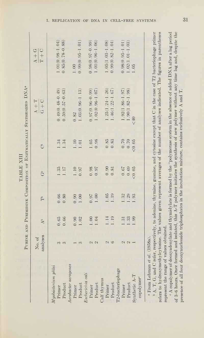 TABLE XIII Purine and Pyrimidine Composition of Enzymatically Synthesized DNA° No. of analyses A b T f> G b C * 6 A + T G T C A + G T + C Myobacterium phlei Primer 3 0.65 0.66 1.35 1.34 0.49(0.48-0.49) 1.01(0.98-1.04) Product 3 0.66 0.80 1.17 1.34 0.59(0.57-0.63) 0.85(0.78-0.88) Aerobacter aerogenes Primer 1 0.90 0.90 1.10 1.10 0.82 1.00 Product 3 1.02 1.00 0.97 1.01 1.03(0.96-1.13) 0.99(0.95-1.01) Escherichia coli Primer 2 1.00 0.97 0.98 1.05 0.97(0.96-0.99) 0.98(0.97-0.99) Product 2 1.04 1.00 0.97 0.98 1.02(0.96-1.07) 1.01(0.96-1.06) Calf thymus Primer 2 1.14 1.05 0.90 0.85 1.25(1.24-1.26) 1.05(1.03-1.08) Product 6 1.19 1.19 0.81 0.83 1.46(1.22-1.67) 0.99(0.82-1.04) T2-bacteriophage Primer 2 1.31 1.32 0.67 0.70 1.92(1.86-1.97) 0.98(0.95-1.01) Product 2 1.33 1.29 0.69 0.70 1.90(1.82-1.98) 1.02(1.01-1.03) Synthetic A-T 1 1.99 1.93 <0.05 <0.05 <40 1.05 copolymer 0 ° From Lehman et al. (1958a). 6 A, T, G, and C refer, respectively, to adenine, thymine, guanine, and cytosine except that C in the case of T2 bacteriophage primer refers to hydroxymethyleytosine. The values given represent averages of the number of analyses indicated. The figures in parentheses represent the range of values obtained. c A copolymer of deoxyadenylate and thymidylate is formed by the “polymerase system in the absence of added DNA after a lag period of 3-6 hours. Once formed and isolated, this A-T polymer initiates the synthesis of new polymer without any time lag and, despite the presence of all four deoxynucleoside triphosphates in the incubation mixture, contains exclusively A and T. REPLICATION OF DNA IN CELL-FREE SYSTEMS