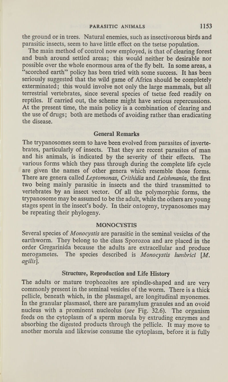 the ground or in trees. Natural enemies, such as insectivorous birds and parasitic insects, seem to have little effect on the tsetse population. The main method of control now employed, is that of clearing forest and bush around settled areas; this would neither be desirable nor possible over the whole enormous area of the fly belt. In some areas, a “scorched earth” policy has been tried with some success. It has been seriously suggested that the wild game of Africa should be completely exterminated; this would involve not only the large mammals, but all terrestrial vertebrates, since several species of tsetse feed readily on reptiles. If carried out, the scheme might have serious repercussions. At the present time, the main policy is a combination of clearing and the use of drugs; both are methods of avoiding rather than eradicating the disease. General Remarks The trypanosomes seem to have been evolved from parasites of inverte brates, particularly of insects. That they are recent parasites of man and his animals, is indicated by the severity of their effects. The various forms which they pass through during the complete life cycle are given the names of other genera which resemble those forms. There are genera called Leptomonas, Crithidia and Leishmania, the first two being mainly parasitic in insects and the third transmitted to vertebrates by an insect vector. Of all the polymorphic forms, the trypanosome may be assumed to be the adult, while the others are young stages spent in the insect’s body. In their ontogeny, trypanosomes may be repeating their phylogeny. MONOCYSTIS Several species of Monocystis are parasitic in the seminal vesicles of the earthworm. They belong to the class Sporozoa and are placed in the order Gregarinida because the adults are extracellular and produce merogametes. The species described is Monocystis lumbrici [M. agilis ]. Structure, Reproduction and Life History The adults or mature trophozoites are spindle-shaped and are very commonly present in the seminal vesicles of the worm. There is a thick pellicle, beneath which, in the plasmagel, are longitudinal myonemes. In the granular plasmasol, there are paramylum granules and an ovoid nucleus with a prominent nucleolus ( see Fig. 32.6). The organism feeds on the cytoplasm of a sperm morula by extruding enzymes and absorbing the digested products through the pellicle. It may move to another morula and likewise consume the cytoplasm, before it is fully