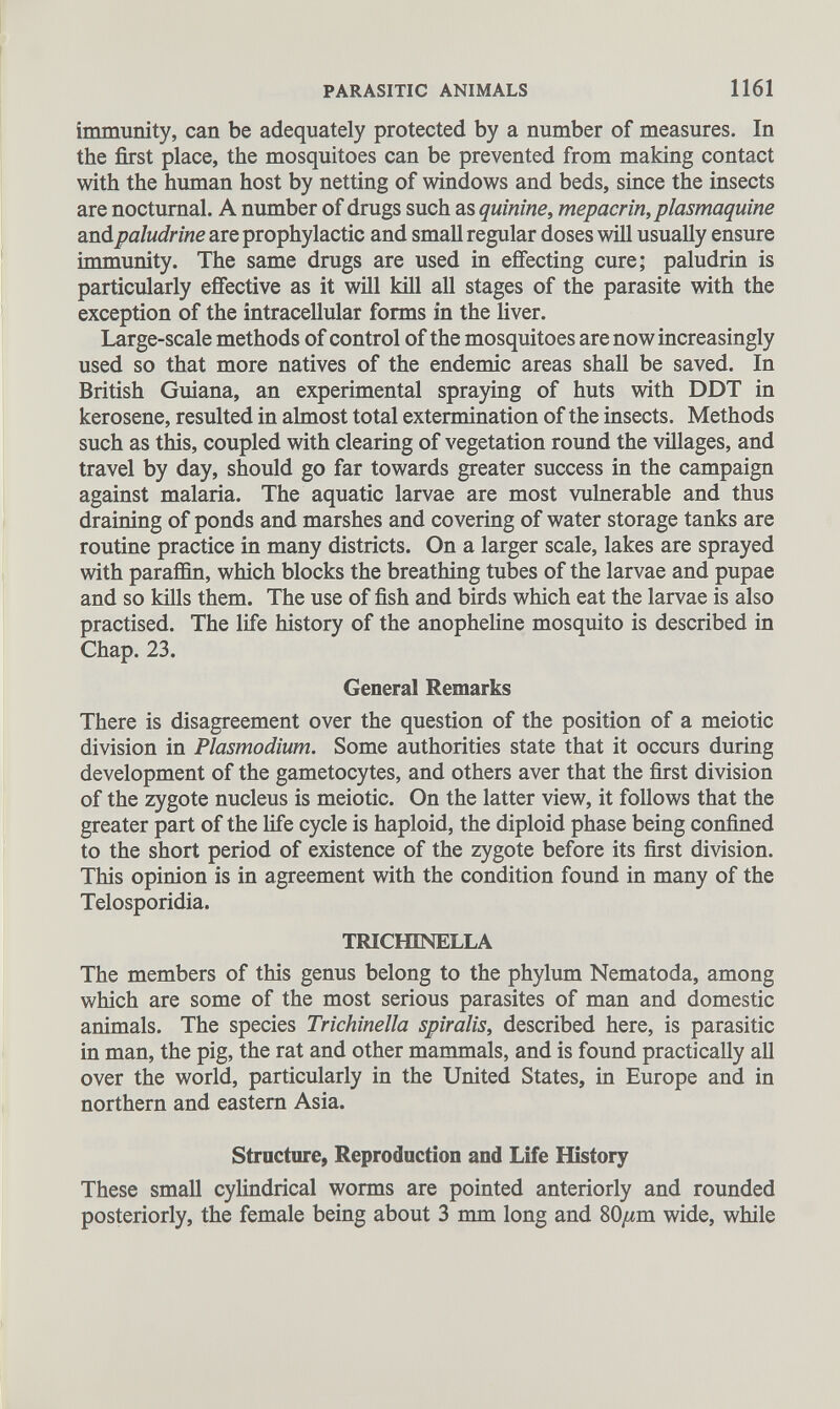 immuni ty, can be adequately protected by a number of measures. In the first place, the mosquitoes can be prevented from making contact with the human host by netting of windows and beds, since the insects are nocturnal. A number of drugs such as quinine, mepacrin, plasmaquine and paludrine are prophylactic and small regular doses will usually ensure immunity. The same drugs are used in effecting cure; paludrin is particularly effective as it will kill all stages of the parasite with the exception of the intracellular forms in the liver. Large-scale methods of control of the mosquitoes are now increasingly used so that more natives of the endemic areas shall be saved. In British Guiana, an experimental spraying of huts with DDT in kerosene, resulted in almost total extermination of the insects. Methods such as this, coupled with clearing of vegetation round the villages, and travel by day, should go far towards greater success in the campaign against malaria. The aquatic larvae are most vulnerable and thus draining of ponds and marshes and covering of water storage tanks are routine practice in many districts. On a larger scale, lakes are sprayed with paraffin, which blocks the breathing tubes of the larvae and pupae and so kills them. The use of fish and birds which eat the larvae is also practised. The life history of the anopheline mosquito is described in Chap. 23. General Remarks There is disagreement over the question of the position of a meiotic division in Plasmodium. Some authorities state that it occurs during development of the gametocytes, and others aver that the first division of the zygote nucleus is meiotic. On the latter view, it follows that the greater part of the life cycle is haploid, the diploid phase being confined to the short period of existence of the zygote before its first division. This opinion is in agreement with the condition found in many of the Telosporidia. T RICIT1N ELLA The members of this genus belong to the phylum Nematoda, among which are some of the most serious parasites of man and domestic animals. The species Trichinella spiralis, described here, is parasitic in man, the pig, the rat and other mammals, and is found practically all over the world, particularly in the United States, in Europe and in northern and eastern Asia. Structure, Reproduction and Life History These small cylindrical worms are pointed anteriorly and rounded posteriorly, the female being about 3 mm long and 80/mi wide, while