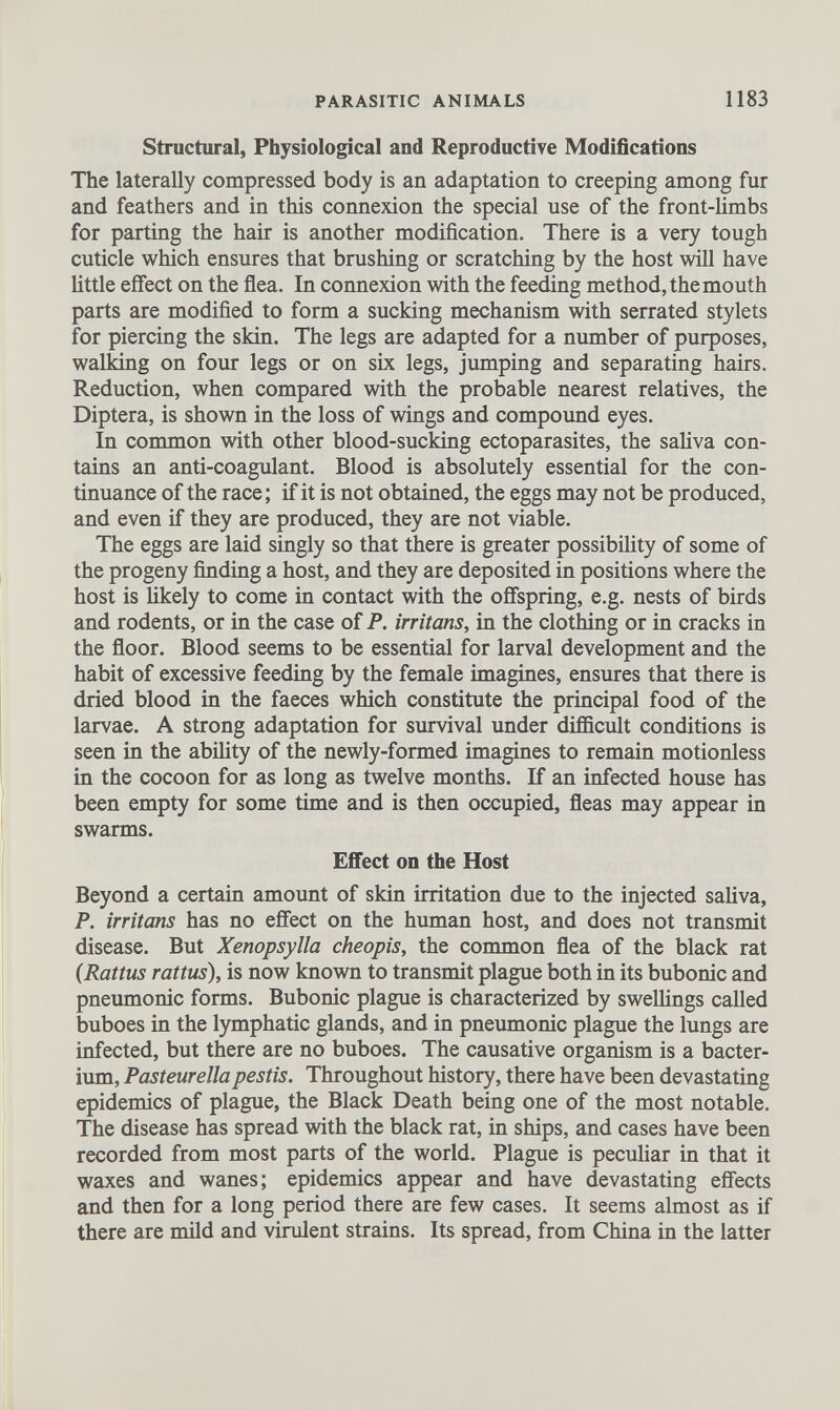 Structural, Physiological and Reproductive Modifications The laterally compressed body is an adaptation to creeping among fur and feathers and in this connexion the special use of the front-limbs for parting the hair is another modification. There is a very tough cuticle which ensures that brushing or scratching by the host will have little effect on the flea. In connexion with the feeding method, the mouth parts are modified to form a sucking mechanism with serrated stylets for piercing the skin. The legs are adapted for a number of purposes, walking on four legs or on six legs, jumping and separating hairs. Reduction, when compared with the probable nearest relatives, the Diptera, is shown in the loss of wings and compound eyes. In common with other blood-sucking ectoparasites, the saliva con tains an anti-coagulant. Blood is absolutely essential for the con tinuance of the race; if it is not obtained, the eggs may not be produced, and even if they are produced, they are not viable. The eggs are laid singly so that there is greater possibility of some of the progeny finding a host, and they are deposited in positions where the host is likely to come in contact with the offspring, e.g. nests of birds and rodents, or in the case of P. irritans, in the clothing or in cracks in the floor. Blood seems to be essential for larval development and the habit of excessive feeding by the female imagines, ensures that there is dried blood in the faeces which constitute the principal food of the larvae. A strong adaptation for survival under difficult conditions is seen in the ability of the newly-formed imagines to remain motionless in the cocoon for as long as twelve months. If an infected house has been empty for some time and is then occupied, fleas may appear in swarms. Effect on the Host Beyond a certain amount of skin irritation due to the injected saliva, P. irritans has no effect on the human host, and does not transmit disease. But Xenopsylla cheopis, the common flea of the black rat (Rattus rattus), is now known to transmit plague both in its bubonic and pneumonic forms. Bubonic plague is characterized by swellings called buboes in the lymphatic glands, and in pneumonic plague the lungs are infected, but there are no buboes. The causative organism is a bacter ium, Pasteurella pestis. Throughout history, there have been devastating epidemics of plague, the Black Death being one of the most notable. The disease has spread with the black rat, in ships, and cases have been recorded from most parts of the world. Plague is peculiar in that it waxes and wanes; epidemics appear and have devastating effects and then for a long period there are few cases. It seems almost as if there are mild and virulent strains. Its spread, from China in the latter