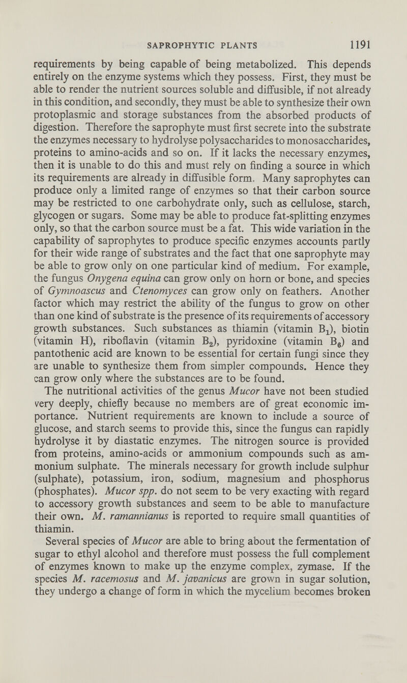 requirements by being capable of being metabolized. This depends entirely on the enzyme systems which they possess. First, they must be able to render the nutrient sources soluble and diffusible, if not already in this condition, and secondly, they must be able to synthesize their own protoplasmic and storage substances from the absorbed products of digestion. Therefore the saprophyte must first secrete into the substrate the enzymes necessary to hydrolyse polysaccharides to monosaccharides, proteins to amino-acids and so on. If it lacks the necessary enzymes, then it is unable to do this and must rely on finding a source in which its requirements are already in diffusible form. Many saprophytes can produce only a limited range of enzymes so that their carbon source may be restricted to one carbohydrate only, such as cellulose, starch, glycogen or sugars. Some may be able to produce fat-splitting enzymes only, so that the carbon source must be a fat. This wide variation in the capability of saprophytes to produce specific enzymes accounts partly for their wide range of substrates and the fact that one saprophyte may be able to grow only on one particular kind of medium. For example, the fungus Onygena equina can grow only on horn or bone, and species of Gymnoascus and Ctenomyces can grow only on feathers. Another factor which may restrict the ability of the fungus to grow on other than one kind of substrate is the presence of its requirements of accessory growth substances. Such substances as thiamin (vitamin B x ), biotin (vitamin H), riboflavin (vitamin B 2 ), pyridoxine (vitamin B 6 ) and pantothenic acid are known to be essential for certain fungi since they are unable to synthesize them from simpler compounds. Hence they can grow only where the substances are to be found. The nutritional activities of the genus Mucor have not been studied very deeply, chiefly because no members are of great economic im portance. Nutrient requirements are known to include a source of glucose, and starch seems to provide this, since the fungus can rapidly hydrolyse it by diastatic enzymes. The nitrogen source is provided from proteins, amino-acids or ammonium compounds such as am monium sulphate. The minerals necessary for growth include sulphur (sulphate), potassium, iron, sodium, magnesium and phosphorus (phosphates). Mucor spp. do not seem to be very exacting with regard to accessory growth substances and seem to be able to manufacture their own. M. ramannianus is reported to require small quantities of thiamin. Several species of Mucor are able to bring about the fermentation of sugar to ethyl alcohol and therefore must possess the full complement of enzymes known to make up the enzyme complex, zymase. If the species M. racemosus and M. javanicus are grown in sugar solution, they undergo a change of form in which the mycelium becomes broken