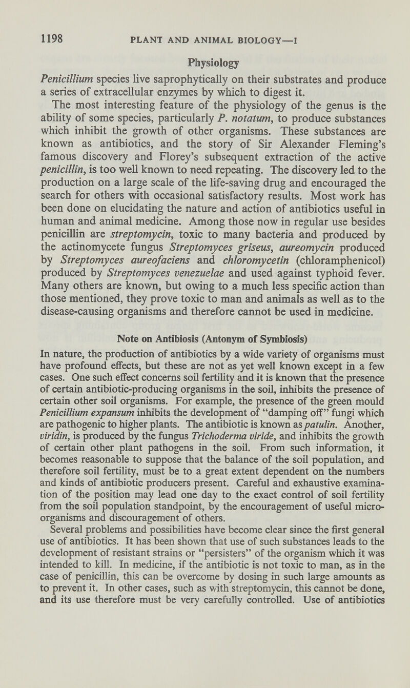 Physiology Pénicillium species live saprophytically on their substrates and produce a series of extracellular enzymes by which to digest it. The most interesting feature of the physiology of the genus is the ability of some species, particularly P. notatum, to produce substances which inhibit the growth of other organisms. These substances are known as antibiotics, and the story of Sir Alexander Fle min g’s famous discovery and Florey’s subsequent extraction of the active penicillin, is too well known to need repeating. The discovery led to the production on a large scale of the life-saving drug and encouraged the search for others with occasional satisfactory results. Most work has been done on elucidating the nature and action of antibiotics useful in human and animal medicine. Among those now in regular use besides penicillin are streptomycin, toxic to many bacteria and produced by the actinomycète fungus Streptomyces griseus, aureomycin produced by Streptomyces aureofaciens and Chloromycetin (chloramphenicol) produced by Streptomyces venezuelae and used against typhoid fever. Many others are known, but owing to a much less specific action than those mentioned, they prove toxic to man and animals as well as to the disease-causing organisms and therefore cannot be used in medicine. Note on Antibiosis (Antonym of Symbiosis) In nature, the production of antibiotics by a wide variety of organisms must have profound effects, but these are not as yet well known except in a few cases. One such effect concerns soil fertility and it is known that the presence of certain antibiotic-producing organisms in the soil, inhibits the presence of certain other soil organisms. For example, the presence of the green mould Pénicillium expansum inhibits the development of “damping off” fungi which are pathogenic to higher plants. The antibiotic is known as patulin. Another, viridin, is produced by the fungus Trichoderma viride, and inhi bits the growth of certain other plant pathogens in the soil. From such information, it becomes reasonable to suppose that the balance of the soil population, and therefore soil fertility, must be to a great extent dependent on the numbers and kinds of antibiotic producers present. Careful and exhaustive examina tion of the position may lead one day to the exact control of soil fertility from the soil population standpoint, by the encouragement of useful micro organisms and discouragement of others. Several problems and possibilities have become clear since the first general use of antibiotics. It has been shown that use of such substances leads to the development of resistant strains or “persisters” of the organism which it was intended to kill. In medicine, if the antibiotic is not toxic to man, as in the case of penicillin, this can be overcome by dosing in such large amounts as to prevent it. In other cases, such as with streptomycin, this cannot be done, and its use therefore must be very carefully controlled. Use of antibiotics