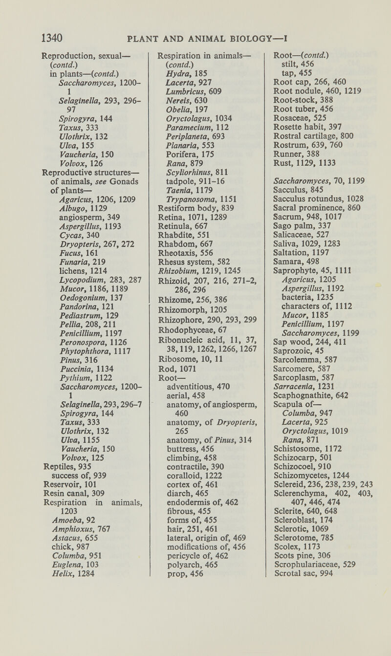 Reproduction, sexual— ( contd .) in plants— {.contd.) Saccharomyces, 1200- 1 Selaginella, 293, 296- 97 Spirogyra, 144 Taxus, 333 Ulothrix, 132 Ulva, 155 Vaucheria, 150 Volvox, 126 Reproductive structures— of animals, see Gonads of plants— Agaricus, 1206, 1209 Albugo, 1129 angiosperm, 349 Aspergillus, 1193 Cycas, 340 Dryopteris, 267, 272 Fucus, 161 Funaria, 219 lichens, 1214 Lycopodium, 283, 287 Mucor, 1186, 1189 Oedogonium, 137 Pandorina, 121 Pediastrum, 129 PelUa, 208, 211 Penicillium, 1197 Peronospora, 1126 Phytophthora, 1117 Pinus, 316 Puccinia, 1134 Pythium, 1122 Saccharomyces, 1200- 1 Selaginella, 293,296-7 Spirogyra, 144 Taxus, 333 Ulothrix, 132 Ulva, 1155 Vaucheria, 150 Volvox, 125 Reptiles, 935 success of, 939 Reservoir, 101 Resin canal, 309 Respiration in animals, 1203 Amoeba, 92 Amphioxus, 767 Astacus, 655 chick, 987 Columba, 951 Euglena, 103 Helix, 1284 Respiration in animals— {contd.) Hydra, 185 Lacerta, 927 Lumbricus, 609 Nereis, 630 Obelia, 197 Oryctolagus, 1034 Paramecium, 112 Periplaneta, 693 Planaria, 553 Porifera, 175 Rana, 879 Scyliorhinus, 811 tadpole, 911-16 Taenia, 1179 Trypanosoma, 1151 Restiform body, 839 Retina, 1071, 1289 Retinula, 667 Rhabdite, 551 Rhabdom, 667 Rheotaxis, 556 Rhesus system, 582 Rhizobium, 1219, 1245 Rhizoid, 207, 216, 271-2, 286, 296 Rhizome, 256, 386 Rhizomorph, 1205 Rhizophore, 290, 293, 299 Rhodophyceae, 67 Ribonucleic acid, 11, 37, 38,119,1262,1266,1267 Ribosome, 10, 11 Rod, 1071 Root— adventitious, 470 aerial, 458 anatomy, of angiosperm, 460 anatomy, of Dryopteris, 265 anatomy, of Pinus, 314 buttress, 456 climbing, 458 contractile, 390 coralloid, 1222 cortex of, 461 diarch, 465 endodermis of, 462 fibrous, 455 forms of, 455 hair, 251, 461 lateral, origin of, 469 modifications of, 456 pericycle of, 462 polyarch, 465 prop, 456 Root— {contd.) stilt, 456 tap, 455 Root cap, 266, 460 Root nodule, 460, 1219 Root-stock, 388 Root tuber, 456 Rosaceae, 525 Rosette habit, 397 Rostral cartilage, 800 Rostrum, 639, 760 Runner, 388 Rust, 1129, 1133 Saccharomyces, 70, 1199 Sacculus, 845 Sacculus rotundus, 1028 Sacral prominence, 860 Sacrum, 948, 1017 Sago palm, 337 Salicaceae, 527 Saliva, 1029, 1283 Saltation, 1197 Samara, 498 Saprophyte, 45, 1111 Agaricus, 1205 Aspergillus, 1192 bacteria, 1235 characters of, 1112 Mucor, 1185 Penicillium, 1197 Saccharomyces, 1199 Sap wood, 244, 411 Saprozoic, 45 Sarcolemma, 587 Sarcomere, 587 Sarcoplasm, 587 Sarracenia, 1231 Scaphognathite, 642 Scapula of— Columba, 947 Lacerta, 925 Oryctolagus, 1019 Rana, 871 Schistosome, 1172 Schizocarp, 501 Schizocoel, 910 Schizomycetes, 1244 Sclereid, 236, 238,239, 243 Sclerenchyma, 402, 403, 407, 446, 474 Sclerite, 640, 648 Scleroblast, 174 Sclerotic, 1069 Sclerotome, 785 Scolex, 1173 Scots pine, 306 Scrophulariaceae, 529 Scrotal sac, 994