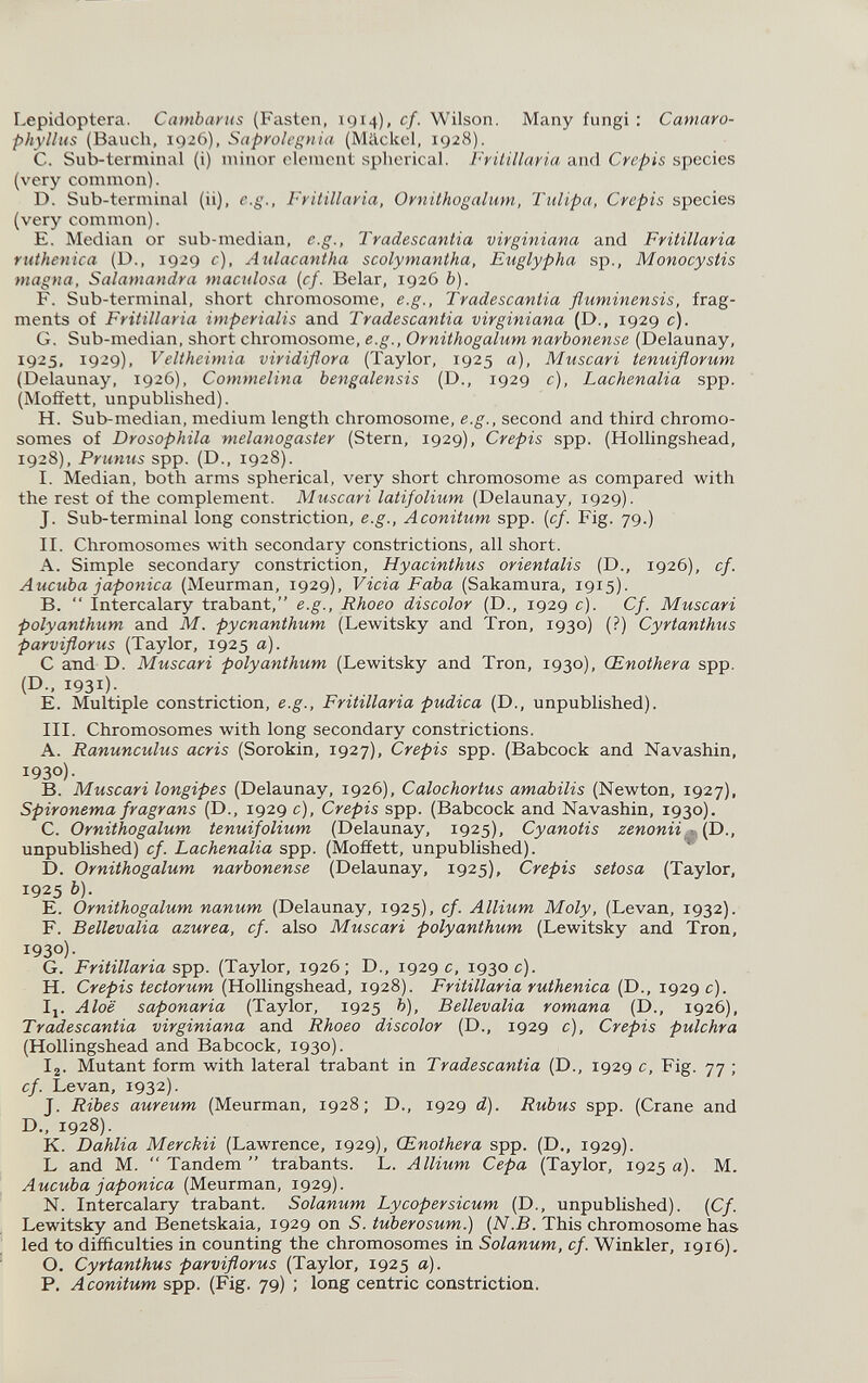 Lepidoptera. Cambarus (Fasten, 1914), cf. Wilson. Many fungi : Camaro- phyllus (Bauch, 1926), Saprolegnia (Mäckol, 1928). C. Sub-terminal (i) minor dement spherical. Fritillaria and Crépis species (very common). D. Sub-terminal (ii), e.g., Fritillaria, Ornithogalum, Tulipa, Crépis species (very common). E. Median or sub-median, e.g., Tradescantia virginiana and Fritillaria ruthenica (D., 1929 c), Aiilacantha scolymantha, Euglypha sp., Monocystis magna, Salamandra maculosa {cf. Belar, 1926 b). F. Sub-terminal, short chromosome, e.g., Tradescantia fluminensis, frag¬ ments of Fritillaria imperialis and Tradescantia virginiana (D., 1929 c). G. Sub-median, short chromosome, e.g., Ornithogalum narbonense (Delaunay, 1925, 1929), Veltheimia viridiflora (Taylor, 1925 a), Muscari tenuiflorum (Delaunay, 1926), Commelina bengalensis (D., 1929 c), Lachenalia spp. (Moffett, unpublished). H. Sub-median, medium length chromosome, e.g., second and third chromo¬ somes of Drosophila melanogaster (Stern, 1929), Crepis spp. (Hollingshead, 1928), Prunus spp. (D., 1928). I. Median, both arms spherical, very short chromosome as compared with the rest of the complement. Muscari latifolium (Delaunay, 1929). J. Sub-terminal long constriction, e.g., Aconitum spp. {cf. Fig. 79.) II. Chromosomes with secondary constrictions, all short. A. Simple secondary constriction, Hyacinthus orientalis (D., 1926), cf. Aucuba japónica (Meurman, 1929), Vicia Faba (Sakamura, 1915). B.  Intercalary trabant, e.g., Rhoeo discolor (D., 1929 c). Cf. Muscari polyanthum and M. pycnanthum (Lewitsky and Tron, 1930) (?) Cyrtanthus parviflorus (Taylor, 1925 a). С and D. Muscari polyanthum (Lewitsky and Tron, 1930), Œnothera spp, (D., 1931)- E. Multiple constriction, e.g.. Fritillaria pudica (D., unpublished). III. Chromosomes with long secondary constrictions. A. Ranunculus acris (Sorokin, 1927), Crepis spp. (Babcock and Navashin, 1930). B. Muscari longipes (Delaunay, 1926), Calochortus amabilis (Newton, 1927), Spironema fragrans (D., 1929 c), Crepis spp. (Babcock and Navashin, 1930). C. Ornithogalum tenuifolium (Delaunay, 1925), Cyanotis zenonii.^\p., unpublished) cf. Lachenalia spp. (Moffett, unpublished). ^ D. Ornithogalum narbonense (Delaunay, 1925), Crepis setosa (Taylor, 1925 b). E. Ornithogalum nanum (Delaunay, 1925), cf. Allium Moly, (Levan, 1932). F. Bellevalia azurea, cf. also Muscari polyanthum (Lewitsky and Tron, 1930)- G. Fritillaria s^-p. (Taylor, 1926; D., 1929 c, 1930 c). H. Crepis tectorum (Hollingshead, 1928). Fritillaria ruthenica (D., 1929 c). Ij. Aloe saponaria (Taylor, 1925 h), Bellevalia romana (D., 1926), Tradescantia virginiana and Rhoeo discolor (D., 1929 c), Crepis pulchra (Hollingshead and Babcock, 1930). Ig. Mutant form with lateral trabant in Tradescantia (D., 1929 c, Fig. 77 ; cf. Levan, 1932). J. Ribes aureum (Meurman, 1928; D., 1929 d). Rubus spp. (Crane and D., 1928). K. Dahlia Merckii (Lawrence, 1929), Œnothera spp. (D,, 1929). L and M.  Tandem  trabants. L. Allium Cepa (Taylor, 1925 a). M. Aucuba japónica (Meurman, 1929). N. Intercalary trabant. Solanum Lycopersicum (D., unpublished). {Cf. Lewitsky and Benetskaia, 1929 on S. tuberosum.) {N.B. This chromosome has led to difficulties in counting the chromosomes in Solanum, cf. Winkler, 1916). О. Cyrtanthus parviflorus (Taylor, 1925 a), P. Aconitum spp. (Fig. 79) ; long centric constriction.