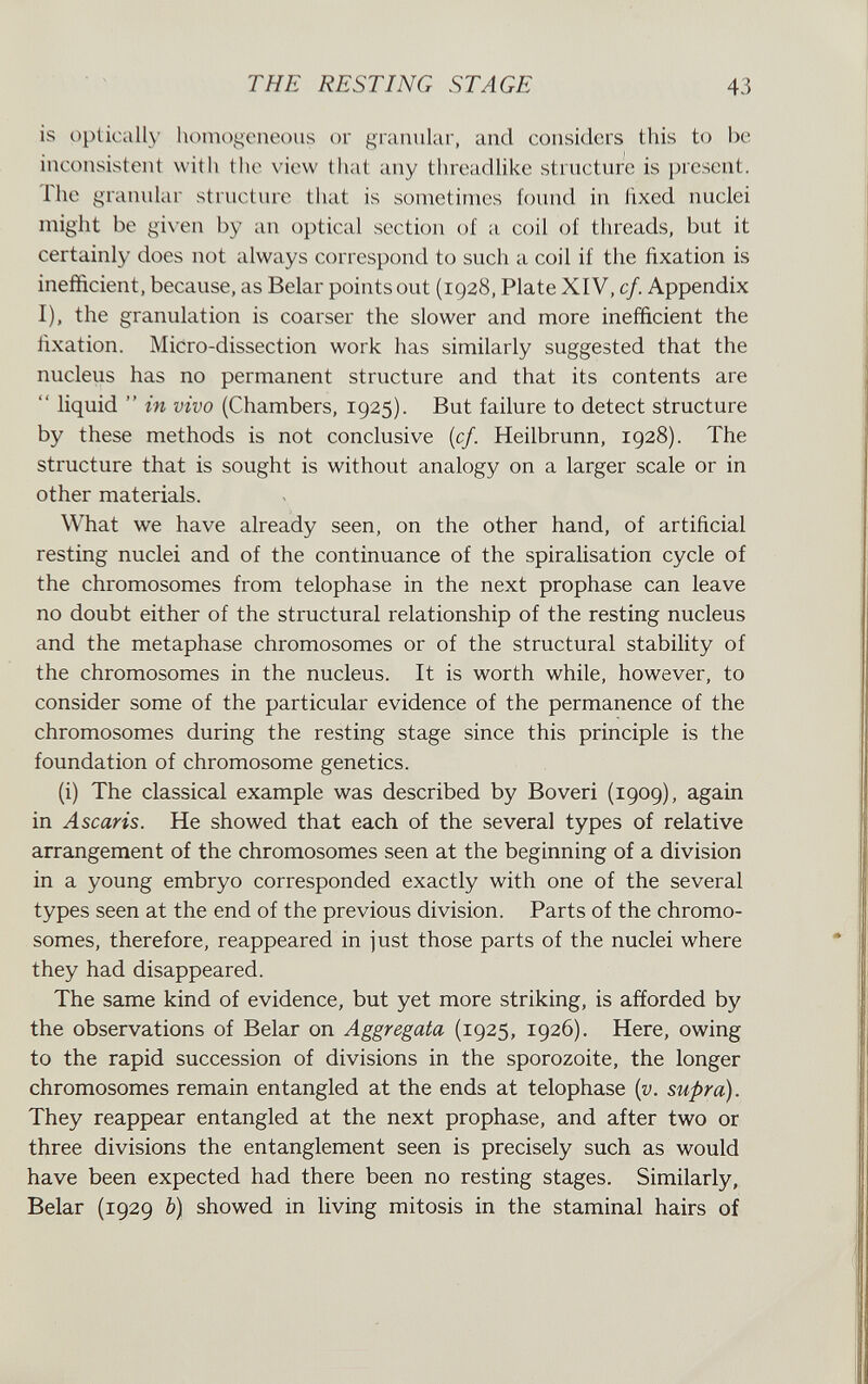 THE RESTING STAGE 43 is optically homogeneous or granular, and considers this to be inconsistent with the view that any threadlike structure is present, riie granular structure that is sometimes found in fixed nuclei might be gix'en by an optical section of a coil of threads, but it certainly does not always correspond to such a coil if the fixation is inefficient, because, as Belar points out (1928, Plate XIV, cf. Appendix I), the granulation is coarser the slower and more inefiñcient the fixation. Micro-dissection work has similarly suggested that the nucleus has no permanent structure and that its contents are  liquid  in vivo (Chambers, 1925). But failure to detect structure by these methods is not conclusive {cf. Heilbrunn, 1928). The structure that is sought is without analogy on a larger scale or in other materials. What we have already seen, on the other hand, of artificial resting nuclei and of the continuance of the spiralisation cycle of the chromosomes from telophase in the next prophase can leave no doubt either of the structural relationship of the resting nucleus and the metaphase chromosomes or of the structural stability of the chromosomes in the nucleus. It is worth while, however, to consider some of the particular evidence of the permanence of the chromosomes during the resting stage since this principle is the foundation of chromosome genetics. (i) The classical example was described by Bo veri (1909), again in Ascaris. He showed that each of the several types of relative arrangement of the chromosomes seen at the beginning of a division in a young embryo corresponded exactly with one of the several types seen at the end of the previous division. Parts of the chromo¬ somes, therefore, reappeared in just those parts of the nuclei where they had disappeared. The same kind of evidence, but yet more striking, is afforded by the observations of Belar on Aggregata (1925, 1926). Here, owing to the rapid succession of divisions in the sporozoite, the longer chromosomes remain entangled at the ends at telophase {v. supra). They reappear entangled at the next prophase, and after two or three divisions the entanglement seen is precisely such as would have been expected had there been no resting stages. Similarly, Belar (1929 Ъ) showed in living mitosis in the staminal hairs of
