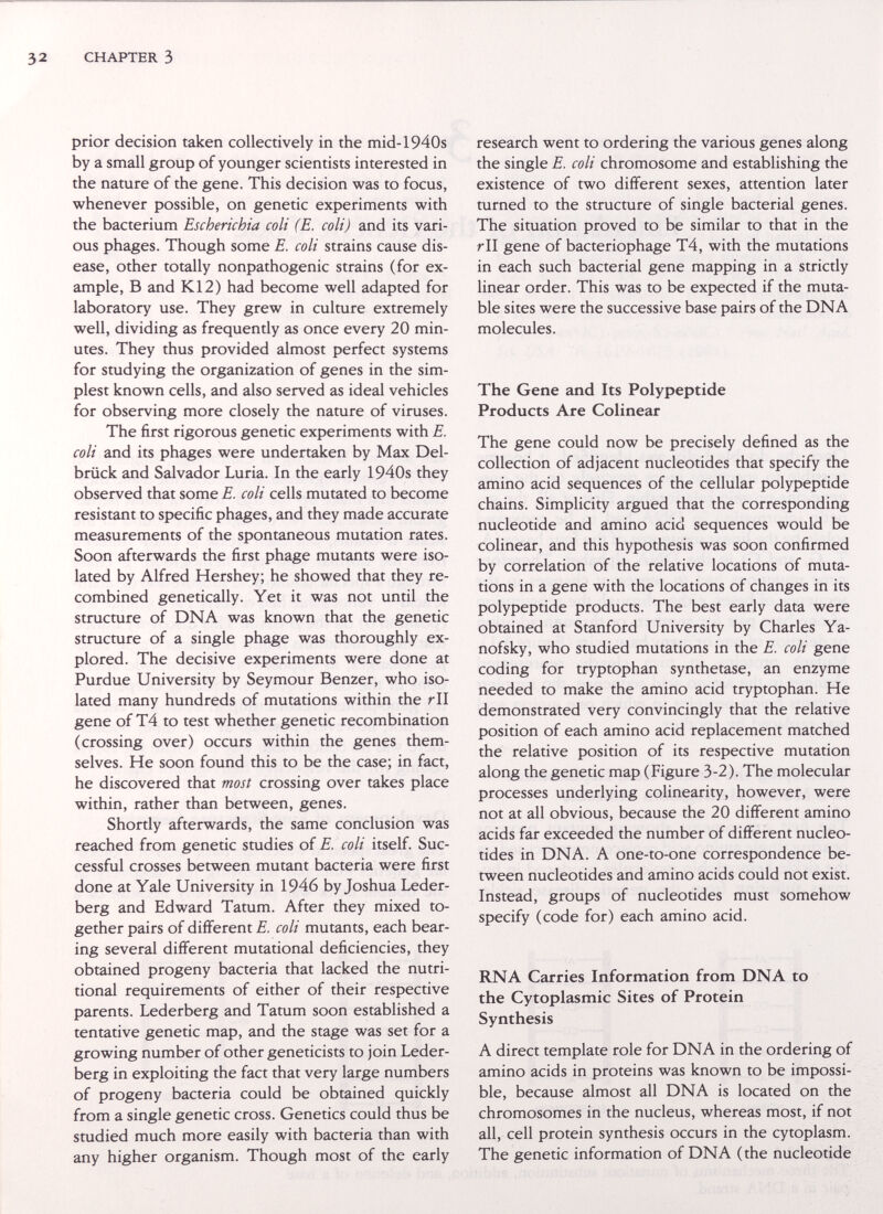 CHAPTER 3 prior decision taken collectively in the mid-1940s by a small group of younger scientists interested in the nature of the gene. This decision was to focus, whenever possible, on genetic experiments with the bacterium Escherichia coli (E. coli) and its vari¬ ous phages. Though some E. coli strains cause dis¬ ease, other totally nonpathogenic strains (for ex¬ ample, В and K12) had become well adapted for laboratory use. They grew in culture extremely well, dividing as frequently as once every 20 min¬ utes. They thus provided almost perfect systems for studying the organization of genes in the sim¬ plest known cells, and also served as ideal vehicles for observing more closely the nature of viruses. The first rigorous genetic experiments with E. coli and its phages were undertaken by Max Del¬ brück and Salvador Luria. In the early 1940s they observed that some E. coli cells mutated to become resistant to specific phages, and they made accurate measurements of the spontaneous mutation rates. Soon afterwards the first phage mutants were iso¬ lated by Alfred Hershey; he showed that they re- combined genetically. Yet it was not until the structure of DNA was known that the genetic structure of a single phage was thoroughly ex¬ plored. The decisive experiments were done at Purdue University by Seymour Benzer, who iso¬ lated many hundreds of mutations within the rll gene of T4 to test whether genetic recombination (crossing over) occurs within the genes them¬ selves. He soon found this to be the case; in fact, he discovered that most crossing over takes place within, rather than between, genes. Shortly afterwards, the same conclusion was reached from genetic studies of E. coli itself. Suc¬ cessful crosses between mutant bacteria were first done at Yale University in 1946 by Joshua Leder- berg and Edward Tatum. After they mixed to¬ gether pairs of different E. coli mutants, each bear¬ ing several different mutational deficiencies, they obtained progeny bacteria that lacked the nutri¬ tional requirements of either of their respective parents. Lederberg and Tatum soon established a tentative genetic map, and the stage was set for a growing number of other geneticists to join Leder¬ berg in exploiting the fact that very large numbers of progeny bacteria could be obtained quickly from a single genetic cross. Genetics could thus be studied much more easily with bacteria than with any higher organism. Though most of the early research went to ordering the various genes along the single E. coli chromosome and establishing the existence of two different sexes, attention later turned to the structure of single bacterial genes. The situation proved to be similar to that in the rll gene of bacteriophage T4, with the mutations in each such bacterial gene mapping in a strictly linear order. This was to be expected if the muta¬ ble sites were the successive base pairs of the DNA molecules. The Gene and Its Polypeptide Products Are Colinear The gene could now be precisely defined as the collection of adjacent nucleotides that specify the amino acid sequences of the cellular polypeptide chains. Simplicity argued that the corresponding nucleotide and amino acid sequences would be colinear, and this hypothesis was soon confirmed by correlation of the relative locations of muta¬ tions in a gene with the locations of changes in its polypeptide products. The best early data were obtained at Stanford University by Charles Ya- nofsky, who studied mutations in the E. coli gene coding for tryptophan synthetase, an enzyme needed to make the amino acid tryptophan. He demonstrated very convincingly that the relative position of each amino acid replacement matched the relative position of its respective mutation along the genetic map (Figure 3-2). The molecular processes underlying colinearity, however, were not at all obvious, because the 20 different amino acids far exceeded the number of different nucleo¬ tides in DNA. A one-to-one correspondence be¬ tween nucleotides and amino acids could not exist. Instead, groups of nucleotides must somehow specify (code for) each amino acid. RNA Carries Information from DNA to the Cytoplasmic Sites of Protein Synthesis A direct template role for DNA in the ordering of amino acids in proteins was known to be impossi¬ ble, because almost all DNA is located on the chromosomes in the nucleus, whereas most, if not all, cell protein synthesis occurs in the cytoplasm. The genetic information of DNA (the nucleotide