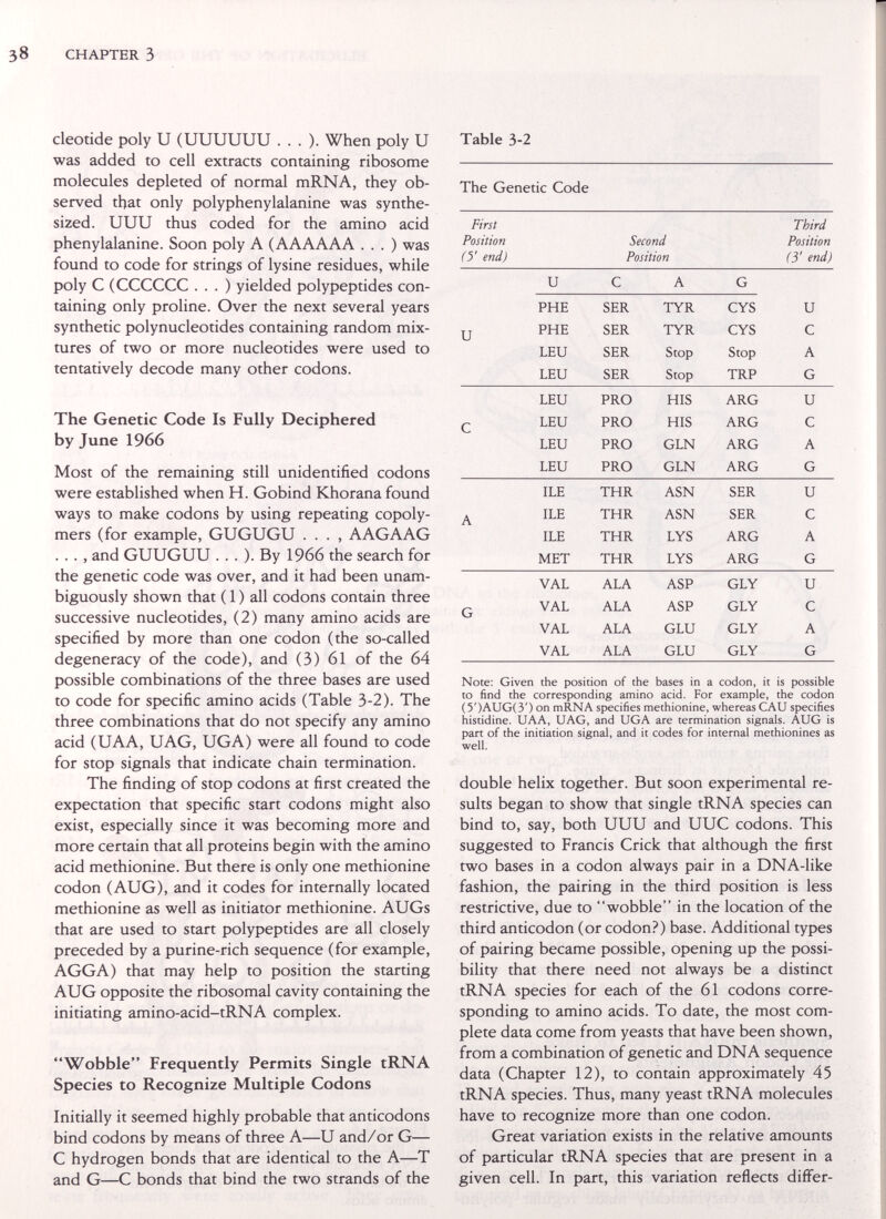 38 CHAPTER 3 cleotide poly U (UUUUUU . . . )• When poly U was added to cell extracts containing ribosome molecules depleted of normal mRNA, they ob¬ served that only polyphenylalanine was synthe¬ sized. UUU thus coded for the amino acid phenylalanine. Soon poly A (AAAAAA . . . ) was found to code for strings of lysine residues, while poly С (CCCCCC . . . ) yielded polypeptides con¬ taining only proline. Over the next several years synthetic polynucleotides containing random mix¬ tures of two or more nucleotides were used to tentatively decode many other codons. The Genetic Code Is Fully Deciphered by June 1966 Most of the remaining still unidentified codons were established when H. Gobind Khorana found ways to make codons by using repeating copoly¬ mers (for example, GUGUGU . . . , A AG A AG . . . , and GUUGUU . . . ). By 1966 the search for the genetic code was over, and it had been unam¬ biguously shown that ( 1 ) all codons contain three successive nucleotides, (2) many amino acids are specified by more than one codon (the so-called degeneracy of the code), and (3) 61 of the 64 possible combinations of the three bases are used to code for specific amino acids (Table 3-2). The three combinations that do not specify any amino acid (UAA, UAG, UGA) were all found to code for stop signals that indicate chain termination. The finding of stop codons at first created the expectation that specific start codons might also exist, especially since it was becoming more and more certain that all proteins begin with the amino acid methionine. But there is only one methionine codon (AUG), and it codes for internally located methionine as well as initiator methionine. AUGs that are used to start polypeptides are all closely preceded by a purine-rich sequence (for example, AGGA) that may help to position the starting AUG opposite the ribosomal cavity containing the initiating amino-acid-tRNA complex. Wobble Frequently Permits Single tRNA Species to Recognize Multiple Codons Initially it seemed highly probable that anticodons bind codons by means of three A—U and/or G— С hydrogen bonds that are identical to the A—T and G—С bonds that bind the two strands of the Table 3-2 The Genetic Code Note: Given the position of the bases in a codon, it is possible to find the corresponding amino acid. For example, the codon (5')AUG(3') on mRNA specifies methionine, whereas CAU specifies histidine. UAA, UAG, and UGA are termination signals. AUG is part of the initiation signal, and it codes for internal methionines as well. double helix together. But soon experimental re¬ sults began to show that single tRNA species can bind to, say, both UUU and UUC codons. This suggested to Francis Crick that although the first two bases in a codon always pair in a DNA-like fashion, the pairing in the third position is less restrictive, due to wobble in the location of the third anticodon (or codon.') base. Additional types of pairing became possible, opening up the possi¬ bility that there need not always be a distinct tRNA species for each of the 61 codons corre¬ sponding to amino acids. To date, the most com¬ plete data come from yeasts that have been shown, from a combination of genetic and DNA sequence data (Chapter 12), to contain approximately 45 tRNA species. Thus, many yeast tRNA molecules have to recognize more than one codon. Great variation exists in the relative amounts of particular tRNA species that are present in a given cell. In part, this variation reflects differ-