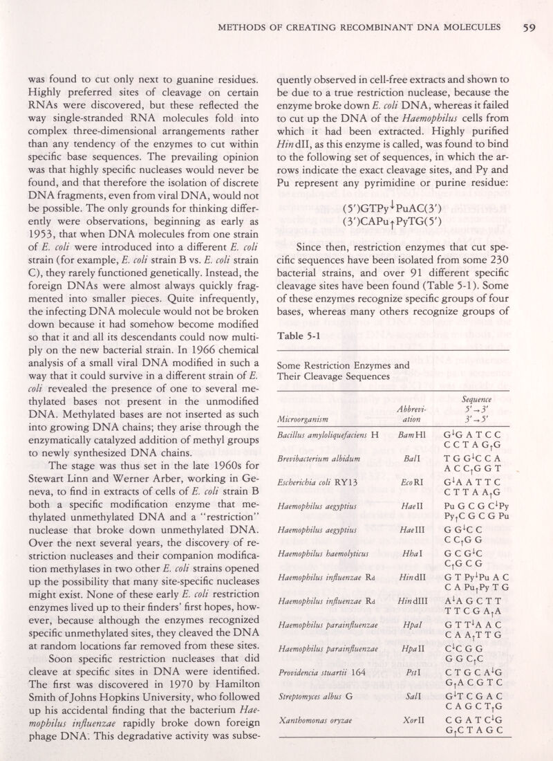 METHODS OF CREATING RECOMBINANT DNA MOLECULES was found to cut only next to guanine residues. Highly preferred sites of cleavage on certain RNAs were discovered, but these reflected the way single-stranded RNA molecules fold into complex three-dimensional arrangements rather than any tendency of the enzymes to cut within specific base sequences. The prevailing opinion was that highly specific nucleases would never be found, and that therefore the isolation of discrete DNA fragments, even from viral DNA, would not be possible. The only grounds for thinking differ¬ ently were observations, beginning as early as 1953, that when DNA molecules from one strain of E. coli were introduced into a different E. coli strain (for example, E. coli strain В vs. E. coli strain C), they rarely functioned genetically. Instead, the foreign DNAs were almost always quickly frag¬ mented into smaller pieces. Quite infrequently, the infecting DNA molecule would not be broken down because it had somehow become modified so that it and all its descendants could now multi¬ ply on the new bacterial strain. In 1966 chemical analysis of a small viral DNA modified in such a way that it could survive in a different strain of E. coli revealed the presence of one to several me¬ thylated bases not present in the unmodified DNA. Methylated bases are not inserted as such into growing DNA chains; they arise through the enzymatically catalyzed addition of methyl groups to newly synthesized DNA chains. The stage was thus set in the late 1960s for Stewart Linn and Werner Arber, working in Ge¬ neva, to find in extracts of cells of E. coli strain В both a specific modification enzyme that me¬ thylated unmethylated DNA and a restriction nuclease that broke down unmethylated DNA. Over the next several years, the discovery of re¬ striction nucleases and their companion modifica¬ tion methylases in two other E. coli strains opened up the possibility that many site-specific nucleases might exist. None of these early E. coli restriction enzymes lived up to their finders' first hopes, how¬ ever, because although the enzymes recognized specific unmethylated sites, they cleaved the DNA at random locations far removed from these sites. Soon specific restriction nucleases that did cleave at specific sites in DNA were identified. The first was discovered in 1970 by Hamilton Smith of Johns Hopkins University, who followed up his accidental finding that the bacterium Hae¬ mophilus influenzae rapidly broke down foreign phage DNA. This degradative activity was subse¬ quently observed in cell-free extracts and shown to be due to a true restriction nuclease, because the enzyme broke down E. coli DNA, whereas it failed to cut up the DNA of the Haemophilus cells from which it had been extracted. Highly purified Hindu, as this enzyme is called, was found to bind to the following set of sequences, in which the ar¬ rows indicate the exact cleavage sites, and Py and Pu represent any pyrimidine or purine residue: (ЗООТРу-'-РиАССЗ') (3')CAPu|PyTG(5') Since then, restriction enzymes that cut spe¬ cific sequences have been isolated from some 230 bacterial strains, and over 91 different specific cleavage sites have been found (Table 5-1). Some of these enzymes recognize specific groups of four bases, whereas many others recognize groups of Table 5-1 Some Restriction Enzymes and Their Cleavage Sequences