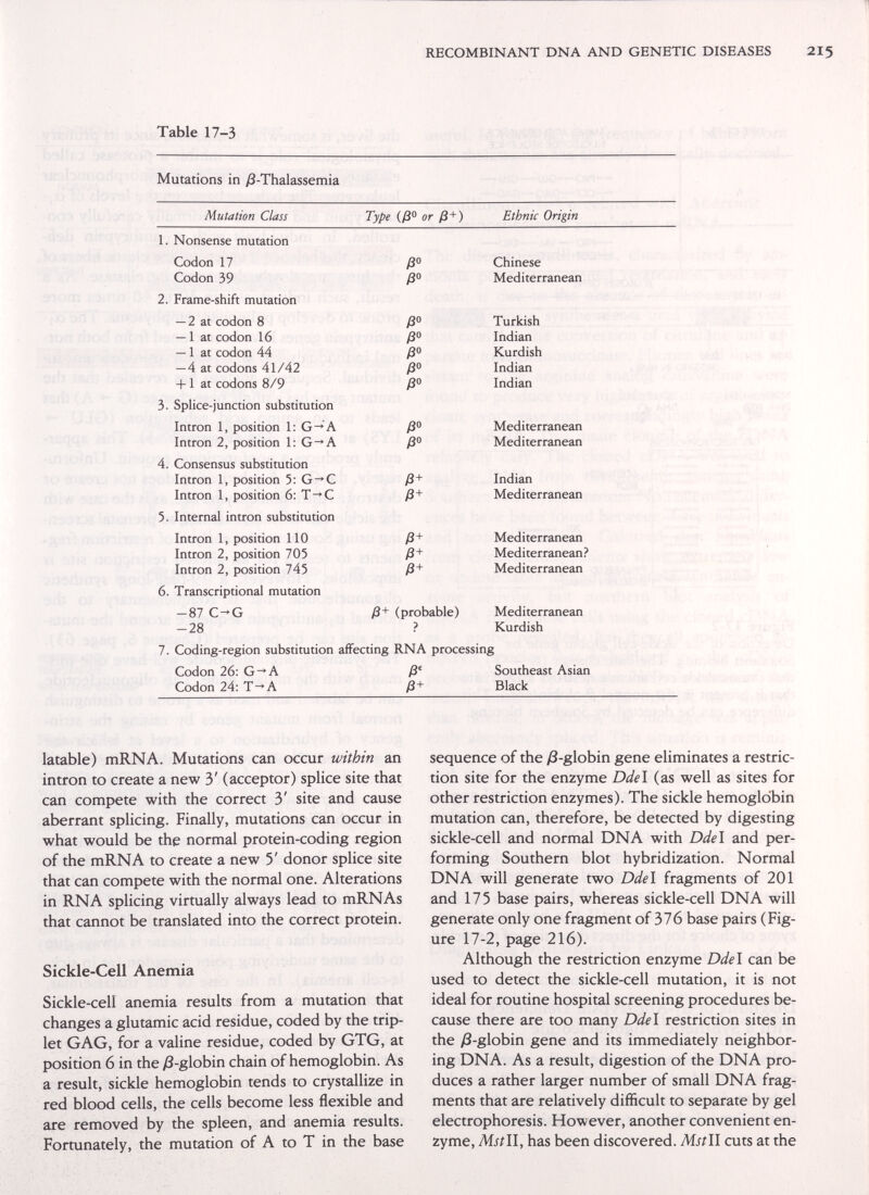 RECOMBINANT DNA AND GENETIC DISEASES 215 Table 17-3 Mutations in ;8-Thalassemia Mutation Class Type (/8 or ß+) Ethnic Origin — 28 ? Kurdish 7. Coding-region substitution affecting RNA processing Codon 26: G->A /3* Southeast Asian Codon 24: T-A ß+ Black latable) mRNA. Mutations can occur within an intron to create a new 3' (acceptor) splice site that can compete with the correct 3' site and cause aberrant splicing. Finally, mutations can occur in what would be the normal protein-coding region of the mRNA to create a new 5' donor splice site that can compete with the normal one. Alterations in RNA splicing virtually always lead to mRNAs that cannot be translated into the correct protein. Sickle-Cell Anemia Sickle-cell anemia results from a mutation that changes a glutamic acid residue, coded by the trip¬ let GAG, for a valine residue, coded by GTG, at position 6 in the yS-globin chain of hemoglobin. As a result, sickle hemoglobin tends to crystallize in red blood cells, the cells become less flexible and are removed by the spleen, and anemia results. Fortunately, the mutation of A to T in the base sequence of the /3-globin gene eliminates a restric¬ tion site for the enzyme Ddel (as well as sites for other restriction enzymes). The sickle hemoglobin mutation can, therefore, be detected by digesting sickle-cell and normal DNA with Ddel and per¬ forming Southern blot hybridization. Normal DNA will generate two Ddel fragments of 201 and 175 base pairs, whereas sickle-cell DNA will generate only one fragment of 376 base pairs (Fig¬ ure 17-2, page 216). Although the restriction enzyme Ddel can be used to detect the sickle-cell mutation, it is not ideal for routine hospital screening procedures be¬ cause there are too many Ddel restriction sites in the )3-globin gene and its immediately neighbor¬ ing DNA. As a result, digestion of the DNA pro¬ duces a rather larger number of small DNA frag¬ ments that are relatively difficult to separate by gel electrophoresis. However, another convenient en¬ zyme, Mstll, has been discovered. Mstll cuts at the