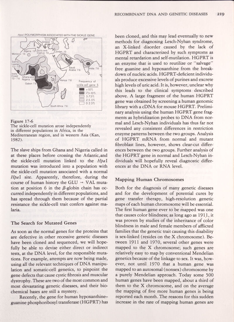 RECOMBINANT DNA AND GENETIC DISEASES 219 Hpa I POLYMORPHISM ASSOCIATED WITH THE SICKLE GENE Figure 17-6 The sickle-cell mutation arose independently in different populations in Africa, in the Mediterranean region, and in western Asia (Kan, 1982). The slave ships from Ghana and Nigeria called in at these places before crossing the Atlantic, and the sickle-cell mutation linked to the Hpal mutation was introduced into a population with the sickle-cell mutation associated with a normal Hpal site. Apparently, therefore, during the course of human history the GLU -♦ VAL muta¬ tion at position 6 in the yS-globin chain has oc¬ curred independently in different populations, and has spread through them because of the partial resistance the sickle-cell trait confers against ma¬ laria. The Search for Mutated Genes As soon as the normal genes for the proteins that are defective in other recessive genetic diseases have been cloned and sequenced, we will hope¬ fully be able to devise either direct or indirect tests, at the DNA level, for the responsible muta¬ tions. For example, attempts are now being made, using all the relevant techniques of DNA manipu¬ lation and somatic-cell genetics, to pinpoint the gene defects that cause cystic fibrosis and muscular dystrophy. These are two of the most common and most devastating genetic diseases, and their bio¬ chemical bases are still a mystery. Recently, the gene for human hypoxanthine- guanine phosphoribosyl transferase (HGPRT) has been cloned, and this may lead eventually to new methods for diagnosing Lesch-Nyhan syndrome, an X-linked disorder caused by the lack of HGPRT and characterized by such symptoms as mental retardation and self-mutilation. HGPRT is an enzyme that is used to reutilize or salvage free guanine and hypoxanthine from the break¬ down of nucleic acids. HGPRT-deficient individu¬ als produce excessive levels of purines and excrete high levels of uric acid. It is, however, unclear why this leads to the clinical symptoms described above. A large fragment of the human HGPRT gene was obtained by screening a human genomic library with a cDNA for mouse HGPRT. Prelimi¬ nary analysis using the human HGPRT gene frag¬ ments as hybridization probes to DNA from nor¬ mal and Lesch-Nyhan individuals has thus far not revealed any consistent differences in restriction enzyme patterns between the two groups. Analysis of HGPRT mRNA from normal and mutant fibroblast lines, however, shows clear-cut differ¬ ences between the two groups. Further analysis of the HGPRT gene in normal and Lesch-Nyhan in¬ dividuals will hopefully reveal diagnostic differ¬ ences at the DNA or RNA level. Mapping Human Chromosomes Both for the diagnosis of many genetic diseases and for the development of potential cures by gene transfer therapy, high-resolution genetic maps of each human chromosome will be essential. The first human gene ever to be mapped was one that causes color blindness; as long ago as 191.1, it was proven by studies of the inheritance of color blindness in male and female members of afflicted families that the genetic trait causing this disability is sex-linked (resides on the X chromosome). Be¬ tween 1911 and 1970, several other genes were mapped to the X chromosome; such genes are relatively easy to map by conventional Mendelian genetics because of the linkage to sex. It was, how¬ ever, not until 1970 that a human gene was mapped to an autosomal (nonsex) chromosome by a purely Mendelian approach. Today some 500 human genes have been mapped, about a third of them to the X chromosome, and on the average the mapping of five more human genes is being reported each month. The reasons for this sudden increase in the rate of mapping human genes are