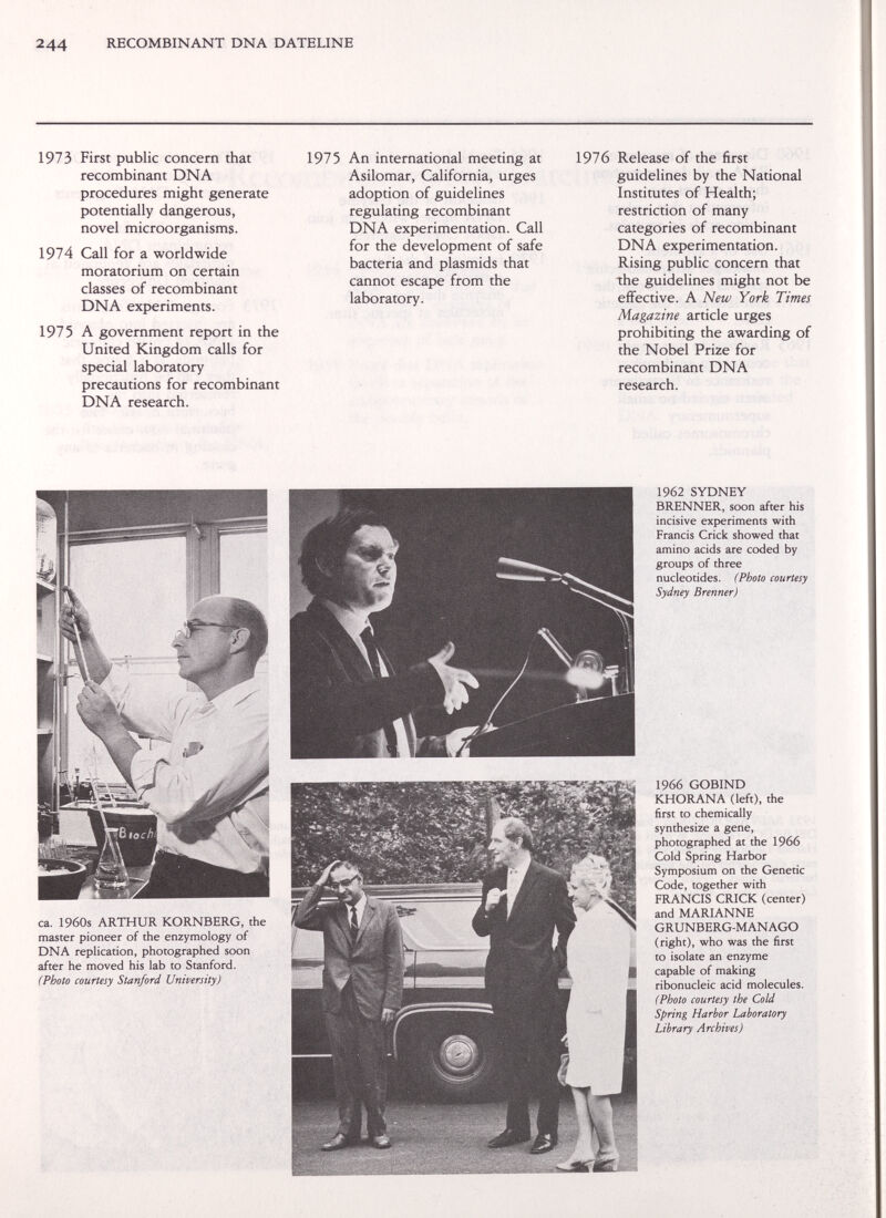 244 RECOMBINANT DNA DATELINE 1973 First public concern that recombinant DNA procedures might generate potentially dangerous, novel microorganisms. 1974 Call for a worldwide moratorium on certain classes of recombinant DNA experiments. 1975 A government report in the United Kingdom calls for special laboratory precautions for recombinant DNA research. 1975 An international meeting at Asilomar, California, urges adoption of guidelines regulating recombinant DNA experimentation. Call for the development of safe bacteria and plasmids that cannot escape from the laboratory. 1976 Release of the first guidelines by the National Institutes of Health; restriction of many categories of recombinant DNA experimentation. Rising public concern that the guidelines might not be effective. A New York Times Magazine article urges prohibiting the awarding of the Nobel Prize for recombinant DNA research. ca. 1960s ARTHUR KORNBERG, the master pioneer of the enzymology of DNA replication, photographed soon after he moved his lab to Stanford. (Photo courtesy Stanford University) 1962 SYDNEY BRENNER, soon after his incisive experiments with Francis Crick showed that amino acids are coded by groups of three nucleotides. (Photo courtesy Sydney Brenner) 1966 GOBIND KHORANA (left), the first to chemically synthesize a gene, photographed at the 1966 Cold Spring Harbor Symposium on the Genetic Code, together with FRANCIS CRICK (center) and MARIANNE GRUNBERG-MANAGO (right), who was the first to isolate an enzyme capable of making ribonucleic acid molecules. (Photo courtesy the Cold Spring Harbor Laboratory Library Archives)