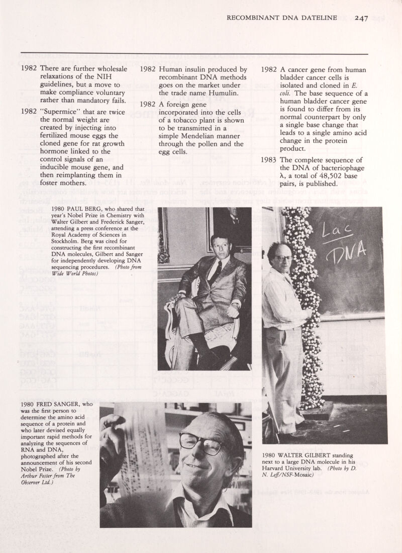 RECOMBINANT DNA DATELINE 247 1982 There are further wholesale relaxations of the NIH guidelines, but a move to make compliance voluntary rather than mandatory fails. 1982 Supermice that are twice the normal weight are created by injecting into fertilized mouse eggs the cloned gene for rat growth hormone linked to the control signals of an inducible mouse gene, and then reimplanting them in foster mothers. 1982 Human insulin produced by recombinant DNA methods goes on the market under the trade name Humulin. 1982 A foreign gene incorporated into the cells of a tobacco plant is shown to be transmitted in a simple Mendelian manner through the pollen and the egg cells. 1982 A cancer gene from human bladder cancer cells is isolated and cloned in E. coli. The base sequence of a human bladder cancer gene is found to differ from its normal counterpart by only a single base change that leads to a single amino acid change in the protein product. 1983 The complete sequence of the DNA of bacteriophage X, a total of 48,502 base pairs, is published. 1980 PAUL BERG, who shared that year's Nobel Prize in Chemistry with Walter Gilbert and Frederick Sanger, attending a press conference at the Royal Academy of Sciences in Stockholm. Berg was cited for constructing the first recombinant DNA molecules, Gilbert and Sanger for independently developing DNA sequencing procedures. (Photo from Wide WorU Photos) 1980 FRED SANGER, who was the first person to determine the amino acid sequence of a protein and who later devised equally important rapid methods for analyzing the sequences of RNA and DNA, photographed after the announcement of his second Nobel Prize. (Photo by Arthur Foster from The Observer Ltd.)