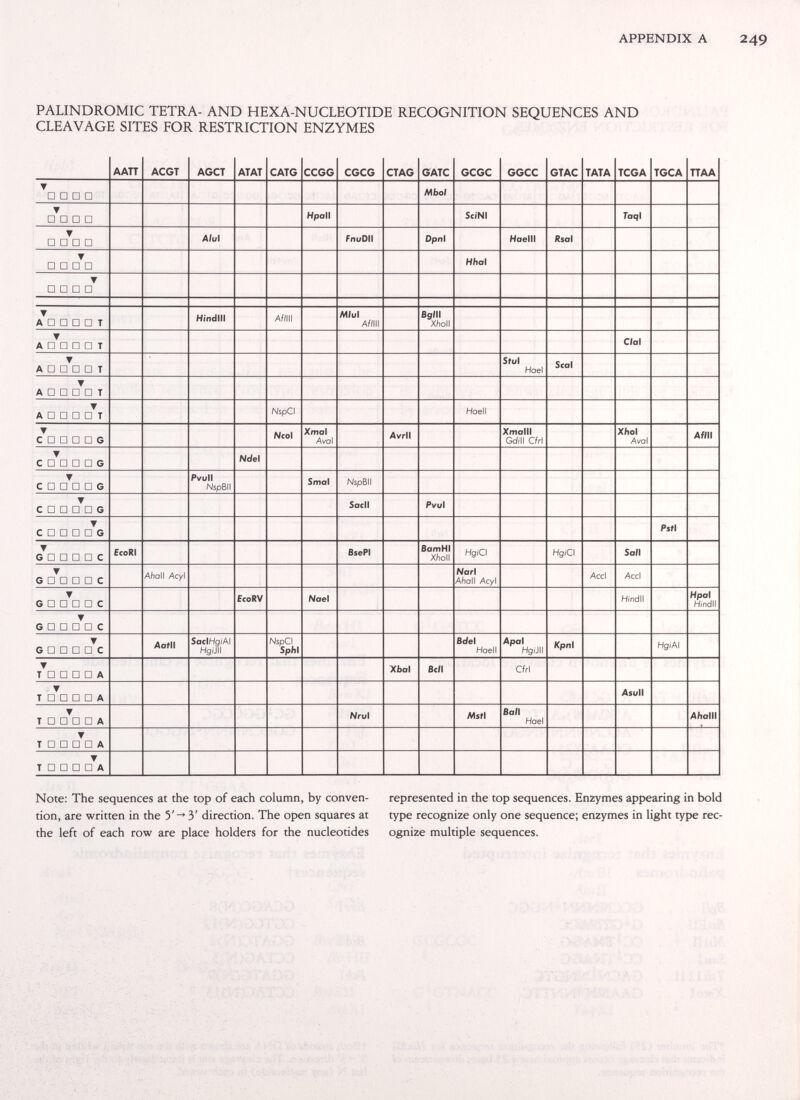 APPENDIX A 249 PALINDROMIC TETRA- AND HEXA-NUCLEOTIDE RECOGNITION SEQUENCES AND CLEAVAGE SITES FOR RESTRICTION ENZYMES Note: The sequences at the top of each column, by conven¬ tion, are written in the 5'-» 3' direction. The open squares at the left of each row are place holders for the nucleotides represented in the top sequences. Enzymes appearing in bold type recognize only one sequence; enzymes in light type rec¬ ognize multiple sequences.