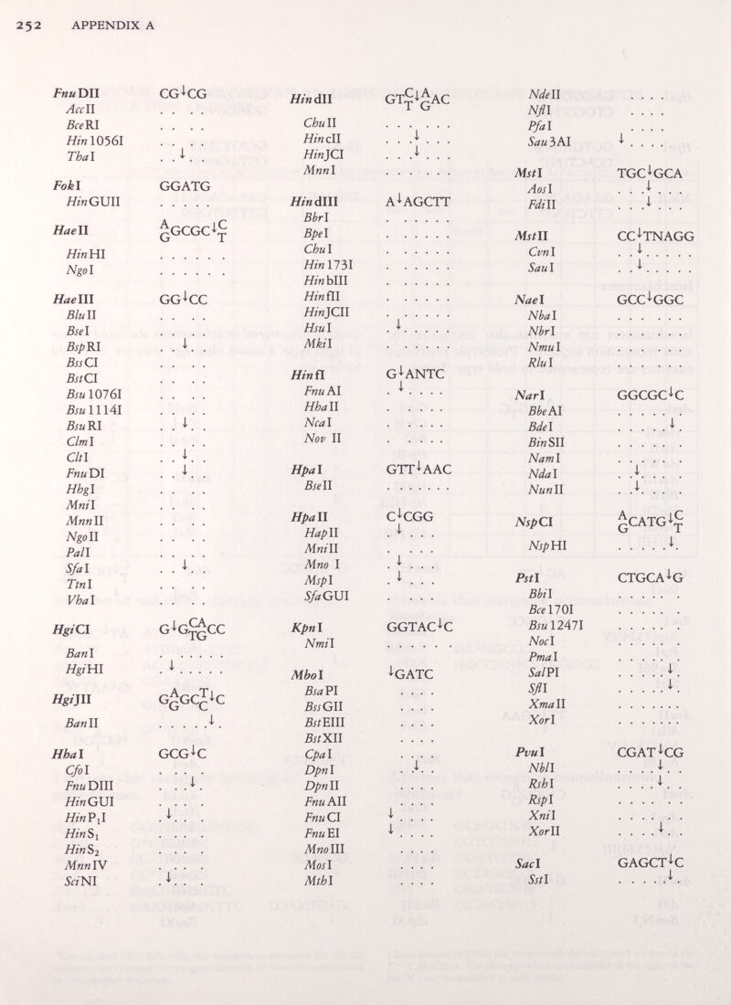 2 52 appendix a /•ии du AccII BceRl Nin 10361 Thai Fokl HinGmi Haell HinUl Ngol Haelll л/и ii Bsel BspRl Ess CI BstCl Bsu 10761 5j«1114i bjwri Cimi Citi Fnuiyi Hhgl Mnil Mnnll Ngoll Pall Sfai Ttnl Vbal HgiCl Banl HgiUl Hgiill Banll H hai Cfol Fnumii яш gui HinVyl Hin SI HinSi MnnlV 5«ni cg i cg ggatg ¿gcgc^ç gg^cc i g^g^^cc gggcj^c i gcg^c . A i ■ Hindu GT^^gAC Chull  Hindi Hin}Cl Mnnl . . .... я/я dm augctt Bhrl  Bpel  Chul  HinllÒl  яш ып  яшп1  Hingen  Hsul . ^ Mkil  Hinñ guntc FnuM . ^ . Hhall  Ncal  Nov ii  H pal Bsell Hpall Hapll Mnill Mno i Mspl SfaCm Kpnl Nmil Mbol BsaVl 5jjgii 5j/eiii 5jíxii Cpal Dpnl Dpnll Fnu all Fnu Cl Fnu el aí«oiii Mosi Mthl gttuac c^cgg i ggtac^c %atc Ndell Nfil Pfal Sau 3 ai Mstl Aosl Fdill /wí/ii Cvnl Saul Nael Nbal Nbrl Nmul Rlul Nari BbeAl Bdel Binili Naml Ndal Nunll NspCl Nspm Pstl ВЫ1 BcellOl BsullAll Noel Pmal Saim Sfll Xmall Xorl Pvul Mil Rshl Rspl Xnil xorll Sacl Sstl tgc^gca i cc^tnagg i . .i gcc^ggc ggcgc^c ; ^catg^ç i. ctgca^g cgat^cg i ; . . . Л. . gagct^c i