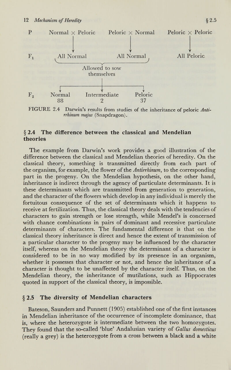 Fx All Normal All Normal J Allowed to sow themselves Normal 88 Intermediate 2 Peloric 37 P Normal X Peloric Peloric X Normal Peloric X Peloric All Peloric FIGURE 2.4 Darwin’s results from studies of the inheritance of peloric Anti rrhinum majus (Snapdragon). § 2.4 The difference between the classical and Mendelian theories The example from Darwin’s work provides a good illustration of the difference between the classical and Mendelian theories of heredity. On the classical theory, something is transmitted directly from each part of the organism, for example, the flower of the Antirrhinum , to the corresponding part in the progeny. On the Mendelian hypothesis, on the other hand, inheritance is indirect through the agency of particulate determinants. It is these determinants which are transmitted from generation to generation, and the character of the flowers which develop in any individual is merely the fortuitous consequence of the set of determinants which it happens to receive at fertilization. Thus, the classical theory deals with the tendencies of characters to gain strength or lose strength, while Mendel’s is concerned with chance combinations in pairs of dominant and recessive particulate determinants of characters. The fundamental difference is that on the classical theory inheritance is direct and hence the extent of transmission of a particular character to the progeny may be influenced by the character itself, whereas on the Mendelian theory the determinant of a character is considered to be in no way modified by its presence in an organism, whether it possesses that character or not, and hence the inheritance of a character is thought to be unaffected by the character itself. Thus, on the Mendelian theory, the inheritance of mutilations, such as Hippocrates quoted in support of the classical theory, is impossible. § § 2.5 The diversity of Mendelian characters Bateson, Saunders and Punnett (1905) established one of the first instances in Mendelian inheritance of the occurrence of incomplete dominance, that is, where the heterozygote is intermediate between the two homozygotes. They found that the so-called ‘blue’ Andalusian variety of Gallus domesticus (really a grey) is the heterozygote from a cross between a black and a white