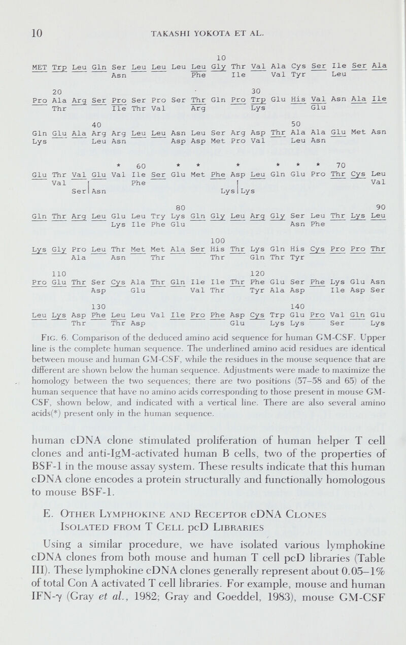 10 takashi yokota et al. 10 MET Trp Leu Gin Ser Leu Leu Leu Leu Gly Thr Val Ala Cys Ser Ile Ser Ala Asn Phe Ile Val Туг Leu 20 • 30 Pro Ala Arg Ser Pro Ser Pro Ser Thr Gin Pro Trp Glu His Val Asn Ala Ile Thr Ile Thr Val Arg Lys Glu 40 50 Gin Glu Ala Arg Arg Leu Leu Asn Leu Ser Arg Asp Thr Ala Ala Glu Met Asn Lys Leu Asn Asp Asp Met Pro Val Leu Asn *60 ** * ***70 Glu Thr Val Glu Val Ile Ser Glu Met Phe Asp Leu Gin Glu Pro Thr Cys Leu Val Ser Phe I Val Asn Lys 1 Lys 80 90 Gin Thr Arg Leu Glu Leu Try Lys Gin Gly Leu Arg Gly Ser Leu Thr Lys Leu Lys Ile Phe Glu Asn Phe 100 Lys Gly Pro Leu Thr Met Met Ala Ser His Thr Lys Gin His Cys Pro Pro Thr Ala Asn Thr Thr Gin Thr Tyr 110 120 Pro Glu Thr Ser Cys Ala Thr Gin Ile Ile Thr Phe Glu Ser Phe Lys Glu Asn Asp Glu Val Thr Tyr Ala Asp Ile Asp Ser 130 140 Leu Lys Asp Phe Leu Leu Val Ile Pro Phe Asp Cys Trp Glu Pro Val Gin Glu Thr Thr Asp Glu Lys Lys Ser Lys Fig. 6. Comparison of the deduced amino acid sequence for human GM-CSF. Upper line is the complete human sequence. The underlined amino acid residues are identical between mouse and human GM-CSF, while the residues in the mouse sequence that are different are shown below the human sequence. Adjustments were made to maximize the homology between the two sequences; there are two positions (57-58 and 65; of the human sequence that have no amino acids corresponding to those present in mouse GM- CSF, shown below, and indicated with a vertical line. There are also several amino acidsf*) present only in the human sequence. human cDNA clone stimulated proliferation of human helper T cell clones and anti-IgM-activated human В cells, two of the properties of BSF-1 in the mouse assay system. These results indicate that this human cDNA clone encodes a protein structurally and functionally homologous to mouse BSF-1. E. Other Lympiiokixe and Receptor cDNA Clones Isolated from T Cell pcD LibfvARies Using a similar procedure, v^e have isolated various lymphokine cDNA clones from both mouse and human T cell pcD libraries (Table III). These lymphokine cDNA clones generally represent about 0.0.5-1% of total Con A activated T cell libraries. For example, mouse and human IFN-7 (Gray et al., 1982; Gray and Goeddel, 1983), mouse GM-CSF