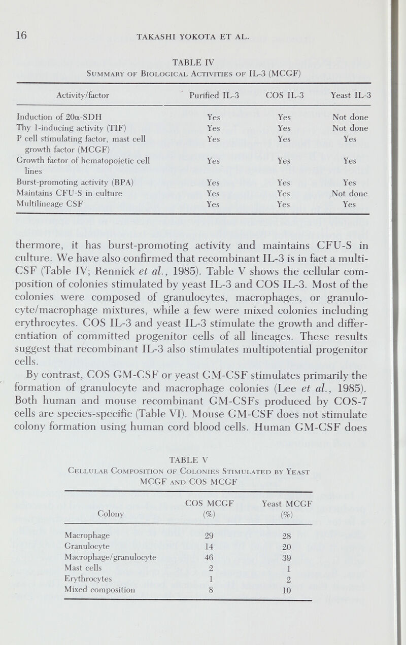 16 TAKASHI YOKOTA ET AL. TABLE IV Summary of Biological Activities of IL-3 (MCGF) thermore, it has burst-promoting activity and maintains CFU-S in culture. We have also confirmed that recombinant IL-3 is in fact a multi- CSF (Table IV; Rennick et al., 1985). Table V shows the cellular com¬ position of colonies stimulated by yeast IL-3 and COS IL-3. Most of the colonies were composed of granulocytes, macrophages, or granulo¬ cyte/macrophage mixtures, while a few were mixed colonies including erythrocytes. COS IL-3 and yeast IL-3 stimulate the growth and differ¬ entiation of committed progenitor cells of all lineages. These results suggest that recombinant IL-3 also stimulates multipotential progenitor cells. By contrast, COS GM-CSF or yeast GM-CSF stimulates primarily the formation of granulocyte and macrophage colonies (Lee et al., 1985). Both human and mouse recombinant GM-CSFs produced by COS-7 cells are species-specific (Table VI). Mouse GM-CSF does not stimulate colony formation using human cord blood cells. Human GM-CSF does TABLE V Cellular Composition of Colonies Stimulated by Yeast MCGF AND COS MCGF
