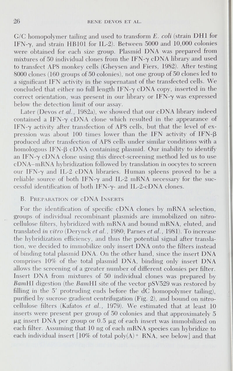 26 rene devos et al. G/C homopolymer tailing and used to transform E. coli (strain DHl for IFN-7, and strain HBIOI for IL-2). Between 5000 and 10,000 colonies were obtained for each size group. Plasmid DNA was prepared from mixtures of 50 individual clones from the IFN-7 cDNA library and used to transfect AP8 monkey cells (Gheysen and Fiers, 1982). After testing 8000 clones (160 groups of 50 colonies), not one group of 50 clones led to a significant IFN activity in the supernatant of the transfected cells. We concluded that either no full length IFN-7 cDNA copy, inserted in the correct orientation, was present in our library or IFN-7 was expressed below the detection limit of our assay. Later (Devos et al., 1982a), we showed that our cDNA library indeed contained a IFN-7 cDNA clone which resulted in the appearance of IFN-7 activity after transfection of AP8 cells, but that the level of ex¬ pression was about 100 times lower than the IFN activity of IFN-ß produced after transfection of AP8 cells under similar conditions with a homologous IFN-ß cDNA containing plasmid. Our inability to identify an IFN-7 cDNA clone using this direct-screening method led us to use cDNA-mRNA hybridization followed by translation in oocytes to screen our IFN-7 and IL-2 cDNA libraries. Human spleens proved to be a reliable source of both IFN-7 and IL-2 mRNA necessary for the suc¬ cessful identification of both IFN-7- and IL-2-cDNA clones. B. Preparation of cDNA Inserts For the identification of specific cDNA clones by mRNA selection, groups of individual recombinant plasmids are immobilized on nitro¬ cellulose filters, hybridized with mRNA and bound mRNA, eluted, and translated in vitro (Derynck et al., 1980; Parnés et al., 1981). To increase the hybridization efficiency, and thus the potential signal after transla¬ tion, we decided to immobilize only insert DNA onto the filters instead of binding total plasmid DNA. On the other hand, since the insert DNA comprises 10% of the total plasmid DNA, binding only insert DNA allows the screening of a greater number of different colonies per filter. Insert DNA from mixtures of 50 individual clones was prepared by BamHl digestion (the BamHl site of the vector pSV529 was restored by filling in the 5' protruding ends before the dC homopolymer tailing), purified by sucrose gradient centrifugation (Fig. 2), and bound on nitro¬ cellulose filters (Kafatos et al, 1979). We estimated that at least 10 inserts were present per group of 50 colonies and that approximately 5 fxg insert DNA per group or 0.5 fxg of each insert was immobilized on each filter. Assuming that 10 ng of each mRNA species can hybridize to each individual insert [10% of total poly(A)+ RNA, see below] and that