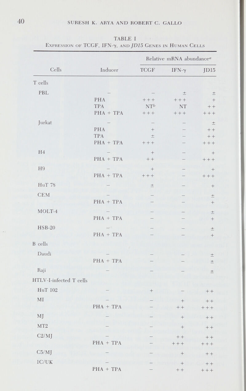 SURESH К. ARYA AND ROBERT C. GALLO TABLE I Expression of TCGF, IFN-7, and JD15 Genes in Human Cells Relative mRNA abundance^ Cells Inducer TCGF IFN-7 JD15 T cells PBL - - ± ± PHA +++ +++ + TPA NT^ NT + + PHA + TPA + + + + + + + + + Jurkat — — — ± PHA + - + + TPA ± - + + PHA + TPA + + + - + + + H4 - + _ + PHA + TPA ++ - + + + H9 - + _ + PHA + TPA + + + - + + + HuT 78 - ± _ + GEM - - - ± PHA + TPA - _ + MOLT-4 - - - ± PHA + TPA - - + HSB-20 - _ _ ^ PHA + TPA _ _ + В cells Daudi — — — ± PHA + TPA - - ± Raji - _ _ + HTLV-I-infected T cells HuT 102 — + _ MI - - + + + PHA + TPA — ++ + + + - - + + + MT2 - _ + + + C2/MJ - - ++ + + PHA + TPA - + + + + + + C5/MJ - - + + + IC/UK - - + + + PHA + TPA — ++ + + +