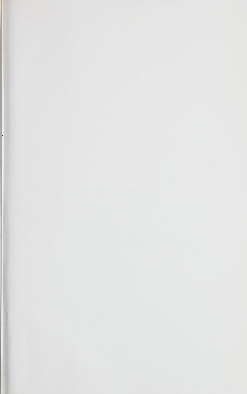 I ■>, ciU ¡( ^ , -: I í : л t ^ л ^ <S'» i» ^ í.