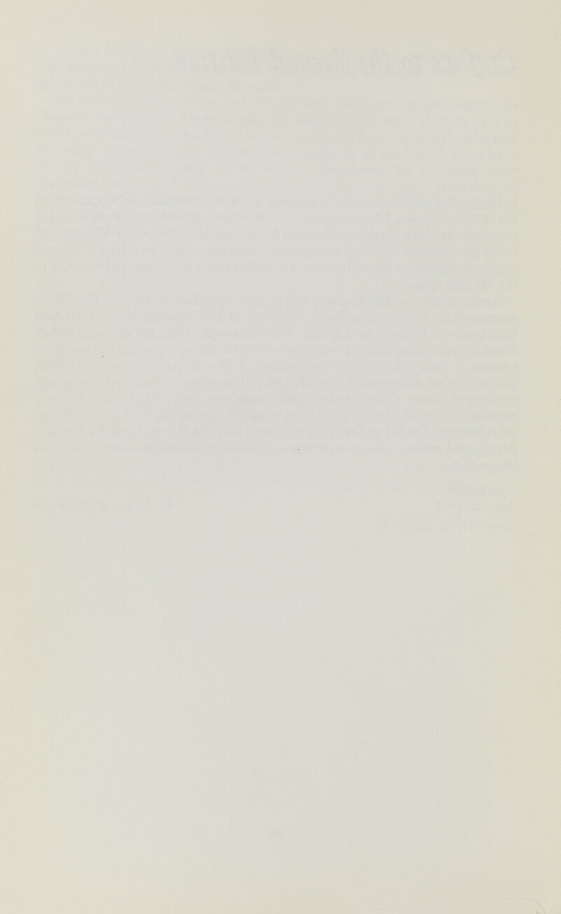 ш S 1 Л А '¿Л. .  ' , й t -А* .^1 Hi ¿-! •f » :у ■?--iê i,'it ■it »»,''■íJi^ii. С - ■•. и* Í \г , , , Ш ' ' ''^ ' :*С.-ч î* .^. - Ш <'л .м>\;^,--í^^íí Ij . к: ; ^ '^■* .' 1 Д Í Í • ♦• • ' * JÎ % * *''\ t ) .-' »'».s« -ï 1 ,í- J- V к? ti »J íív.v h \ . ^.4i . ' i ¿ÍLí.^-if