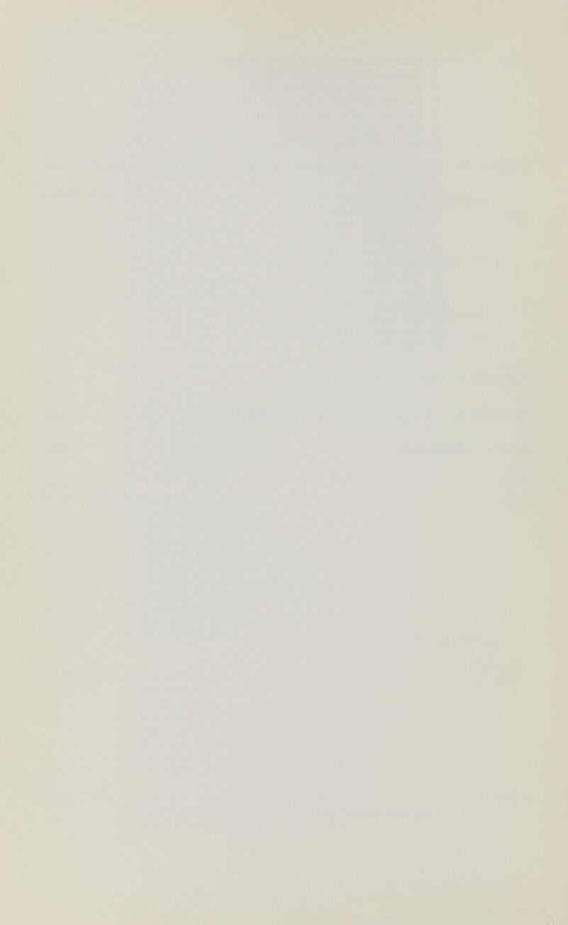 ^Р W*- . \ к 'Í ' ч >»а ^1 1»-. ^ ■ ^ '-'^ЖА'' lirttÄ^'