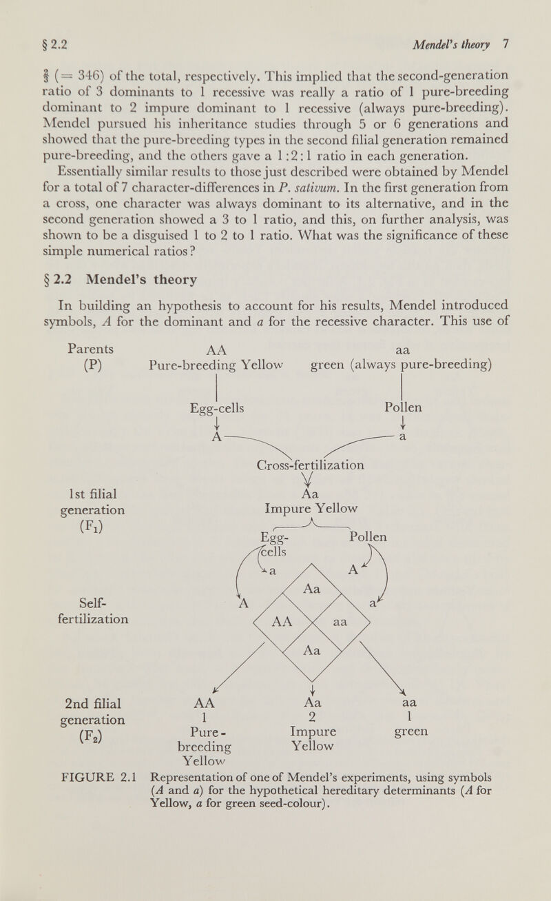 §2.2 Mendel^s theory 7 I (= 346) of the total, respectively. This implied that the second-generation ratio of 3 dominants to 1 recessive was really a ratio of 1 pure-breeding dominant to 2 impure dominant to 1 recessive (always pure-breeding). Mendel pursued his inheritance studies through 5 or 6 generations and showed that the pure-breeding types in the second filial generation remained pure-breeding, and the others gave a 1:2:1 ratio in each generation. Essentially similar results to those just described were obtained by Mendel for a total of 7 character-differences in P. sativum. In the first generation from a cross, one character was always dominant to its alternative, and in the second generation showed a 3 to 1 ratio, and this, on further analysis, was shown to be a disguised 1 to 2 to 1 ratio. What was the significance of these simple numerical ratios ? § 2.2 Mendel's theory In building an hypothesis to account for his results, Mendel introduced symbols, A for the dominant and a for the recessive character. This use of Parents AA (P) Pure-breeding Yellow Egg-cells I A aa green (always pure-breeding) Po len I a 1st filial generation (Fl) Self- fertilization 2nd filial generation (F2) FIGURE 2.1 Cross-fertilization V Aa Impure Yellow , Pollen Representation of one of Mendel's experiments, using symbols (A and a) for the hypothetical hereditary determinants (A for Yellow, a for green seed-colour).