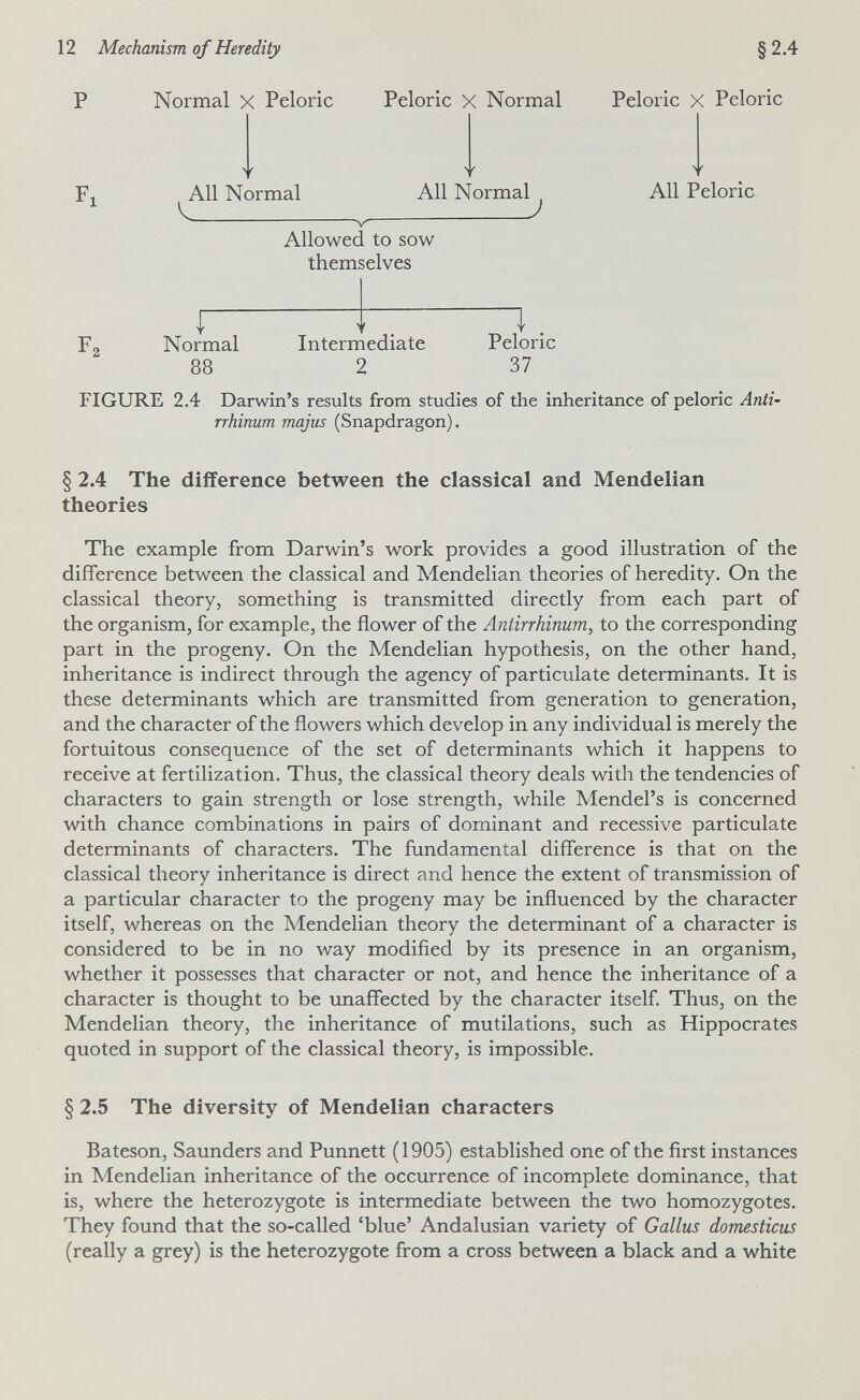 12 Mechanism of Heredity §2.4 Normal X Peloric Peloric X Normal Peloric X Peloric Fl All Normal V. All Normal J Allowed to sow themselves All Peloric. Normal 88 Intermediate 2 1. Peloric 37 FIGURE 2.4 Darwin's results from studies of the inheritance of peloric Anti¬ rrhinum majus (Snapdragon). § 2.4 The difference between the classical and Mendelian theories The example from Darwin's work provides a good illustration of the difference between the classical and Mendelian theories of heredity. On the classical theory, something is transmitted directly from each part of the organism, for example, the flower of the Aniirrhinum, to the corresponding part in the progeny. On the Mendelian hypothesis, on the other hand, inheritance is indirect through the agency of particulate determinants. It is these determinants which are transmitted from generation to generation, and the character of the flowers which develop in any individual is merely the fortuitous consequence of the set of determinants which it happens to receive at fertilization. Thus, the classical theory deals with the tendencies of characters to gain strength or lose strength, while Mendel's is concerned with chance combinations in pairs of dominant and recessive particulate determinants of characters. The fundamental difference is that on the classical theory inheritance is direct and hence the extent of transmission of a particular character to the progeny may be influenced by the character itself, whereas on the Mendelian theory the determinant of a character is considered to be in no way modified by its presence in an organism, whether it possesses that character or not, and hence the inheritance of a character is thought to be unaffected by the character itself Thus, on the Mendelian theory, the inheritance of mutilations, such as Hippocrates quoted in support of the classical theory, is impossible. § 2.5 The diversity of Mendelian characters Bateson, Saunders and Punnett (1905) established one of the first instances in Mendelian inheritance of the occurrence of incomplete dominance, that is, where the heterozygote is intermediate between the two homozygotes. They found that the so-called 'blue' Andalusian variety of Gallus domesticus (really a grey) is the heterozygote from a cross between a black and a white