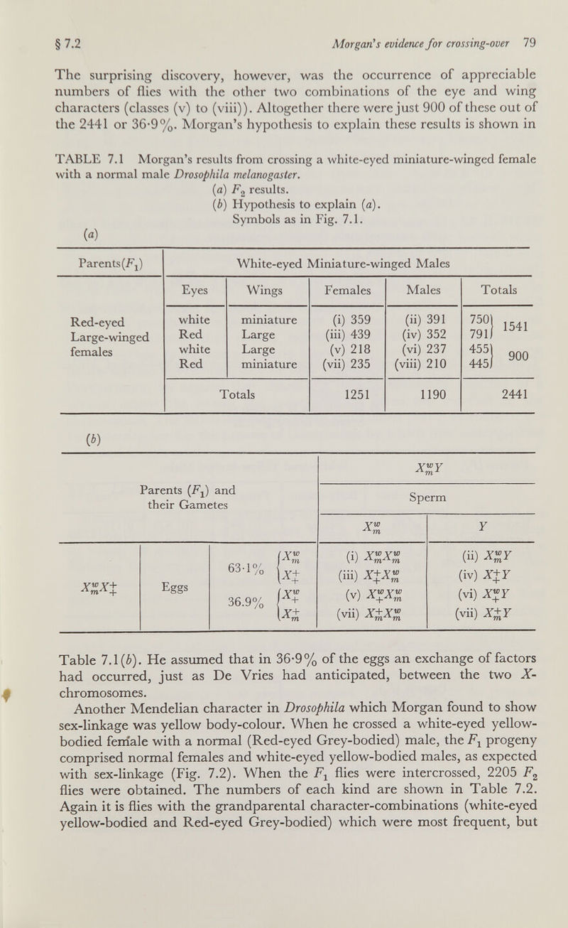 §7.2 Morgan's evidence for crossing-over 79 The surprising discovery, however, was the occurrence of appreciable numbers of flies with the other two combinations of the eye and wing characters (classes (v) to (viii)). Altogether there were just 900 of these out of the 2441 or 36-9%. Morgan's hypothesis to explain these results is shown in TABLE 7.1 Morgan's results from crossing a white-eyed miniature-winged female with a normal male Drosophila melanogaster. {a) results. {b) Hypothesis to explain (a). Symbols as in Fig. 7.1. («) (¿) Table 7.1(¿). He assumed that in 36-9% of the eggs an exchange of factors had occurred, just as De Vries had anticipated, between the two X- chromosomes. Another Mendelian character in Drosophila which Morgan found to show sex-linkage was yellow body-colour. When he crossed a white-eyed yellow- bodied feniale with a normal (Red-eyed Grey-bodied) male, the progeny comprised normal females and white-eyed yellow-bodied males, as expected with sex-linkage (Fig. 7.2). When the Fj flies were intercrossed, 2205 flies were obtained. The numbers of each kind are shown in Table 7.2. Again it is flies with the grandparental character-combinations (white-eyed yellow-bodied and Red-eyed Grey-bodied) which were most frequent, but