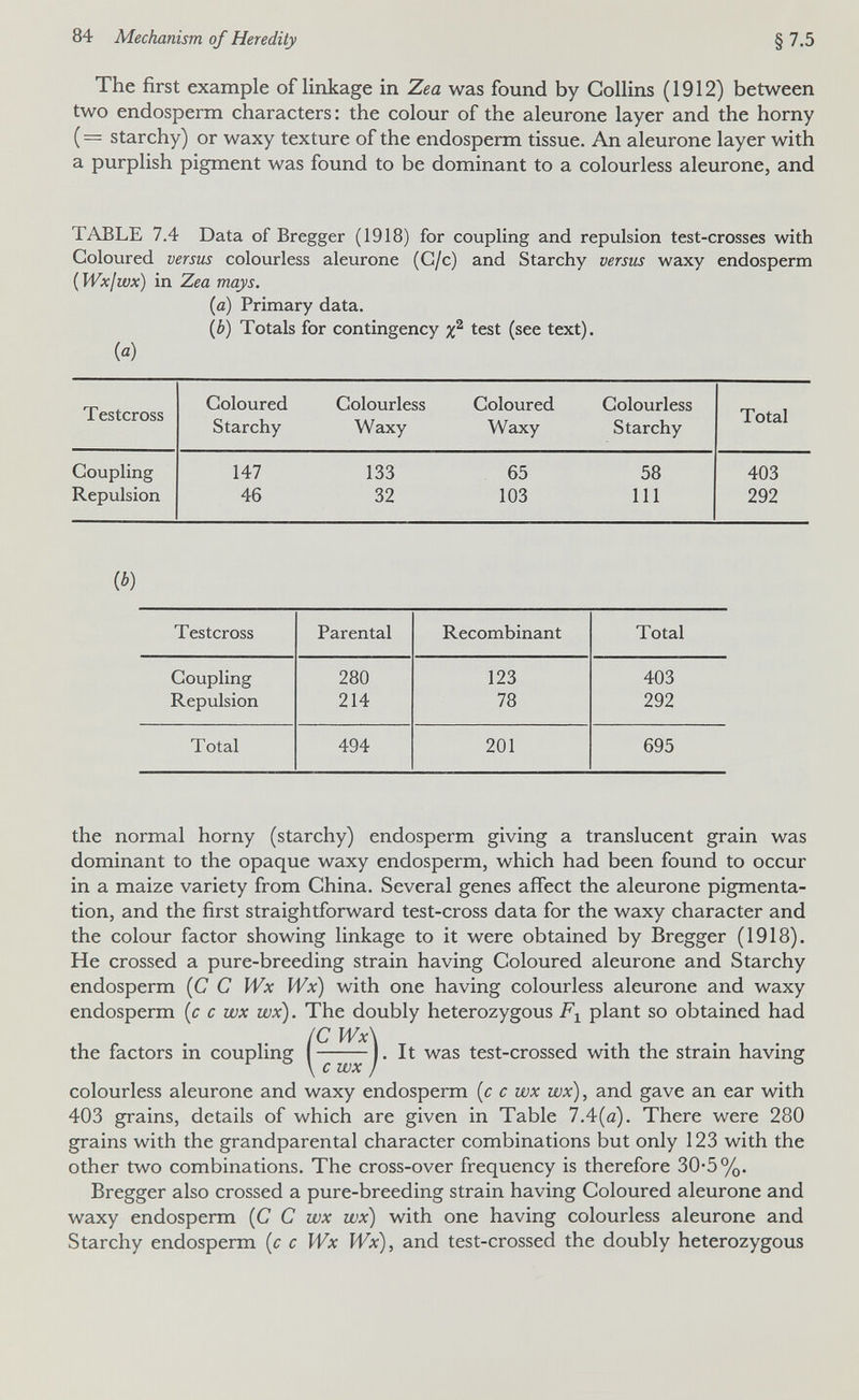 84 Mechanism of Heredity §7.5 The first example of linkage in Zea was found by Collins (1912) between two endosperm characters : the colour of the aleurone layer and the horny (= starchy) or waxy texture of the endosperm tissue. An aleurone layer with a purplish pigment was found to be dominant to a colourless aleurone, and TABLE 7.4 Data of Bregger (1918) for coupling and repulsion test-crosses with Coloured versus colourless aleurone (G/c) and Starchy versus waxy endosperm ( Wx¡wx) in Zea mays. (a) Primary data. (Ò) Totals for contingency test (see text). (a) {b) the normal horny (starchy) endosperm giving a translucent grain was dominant to the opaque waxy endosperm, which had been found to occur in a maize variety from China. Several genes affect the aleurone pigmenta¬ tion, and the first straightforward test-cross data for the waxy character and the colour factor showing linkage to it were obtained by Bregger (1918). He crossed a pure-breeding strain having Coloured aleurone and Starchy endosperm (C С Wx Wx) with one having colourless aleurone and waxy endosperm [c с wx wx). The doubly heterozygous plant so obtained had (C Wx\ the factors in coupling I 1. It was test-crossed with the strain having colourless aleurone and waxy endosperm [c с wx wx), and gave an ear with 403 grains, details of which are given in Table 7.4(a). There were 280 grains with the grandparental character combinations but only 123 with the other two combinations. The cross-over frequency is therefore 30-5 %. Bregger also crossed a pure-breeding strain having Coloured aleurone and waxy endosperm (C С wx wx) with one having colourless aleurone and Starchy endosperm {c с Wx Wx), and test-crossed the doubly heterozygous