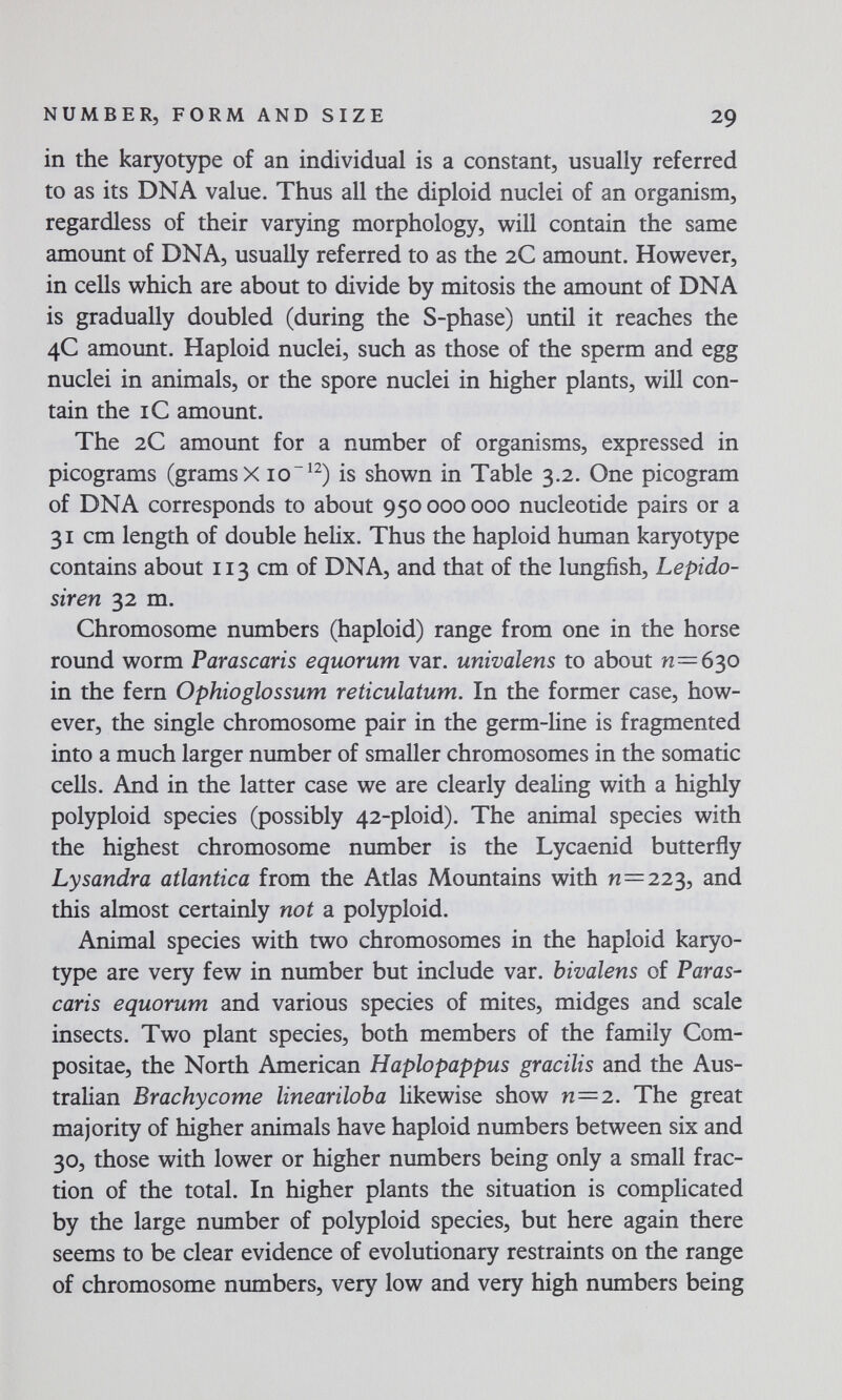 NUMBER, FORM AND SIZE 29 in the karyotype of an individual is a constant, usually referred to as its DNA value. Thus all the diploid nuclei of an organism, regardless of their varying morphology, will contain the same amount of DNA, usually referred to as the 2C amount. However, in cells which are about to divide by mitosis the amount of DNA is gradually doubled (during the S-phase) until it reaches the 4C amount. Haploid nuclei, such as those of the sperm and egg nuclei in animals, or the spore nuclei in higher plants, will con¬ tain the IС amount. The 2C amount for a number of organisms, expressed in picograms (grams X 10^^) is shown in Table 3.2. One picogram of DNA corresponds to about 950 000 000 nucleotide pairs or a 31 cm length of double helix. Thus the haploid human karyotype contains about 113 cm of DNA, and that of the lungfish, Lepido- siren 32 m. Chromosome numbers (haploid) range from one in the horse round worm Parascaris equorum var. univalens to about п=6зо in the fern Ophioglossum reticulatum. In the former case, how¬ ever, the single chromosome pair in the germ-line is fragmented into a much larger number of smaller chromosomes in the somatic cells. And in the latter case we are clearly dealing with a highly polyploid species (possibly 42-ploid). The animal species with the highest chromosome number is the Lycaenid butterfly LySandra atlantica from the Atlas Mountains with n=223, and this almost certainly not a polyploid. Animal species with two chromosomes in the haploid karyo¬ type are very few in number but include var. bivalens of Paras- caris equorum and various species of mites, midges and scale insects. Two plant species, both members of the family Com- positae, the North American Haplopappus gracilis and the Aus¬ tralian Brachycome lineariloba likewise show n=2. The great majority of higher animals have haploid numbers between six and 30, those with lower or higher numbers being only a small frac¬ tion of the total. In higher plants the situation is complicated by the large number of polyploid species, but here again there seems to be clear evidence of evolutionary restraints on the range of chromosome numbers, very low and very high numbers being