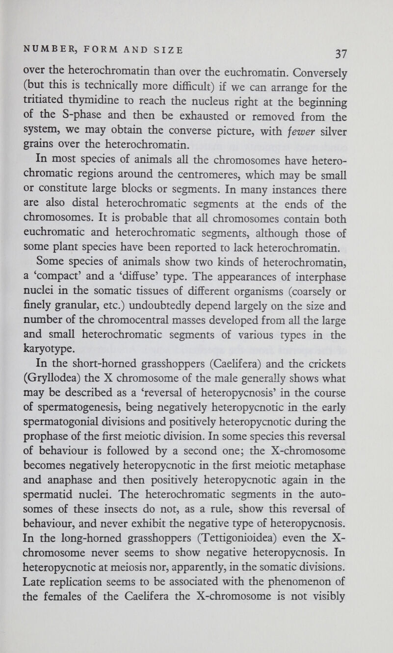 NUMBER, FORM AND SIZE over the heterochromatin than over the euchromatin. Conversely (but this is technically more difficult) if we can arrange for the tritiated thymidine to reach the nucleus right at the beginning of the S-phase and then be exhausted or removed from the system, we may obtain the converse picture, with fewer silver grains over the heterochromatin. In most species of animals all the chromosomes have hetero- chromatic regions around the centromeres, which may be small or constitute large blocks or segments. In many instances there are also distal heterochromatic segments at the ends of the chromosomes. It is probable that all chromosomes contain both euchromatic and heterochromatic segments, although those of some plant species have been reported to lack heterochromatin. Some species of animals show two kinds of heterochromatin, a 'compact' and a 'diffuse' type. The appearances of interphase nuclei in the somatic tissues of different organisms (coarsely or finely granular, etc.) undoubtedly depend largely on the size and number of the chromocentral masses developed from all the large and small heterochromatic segments of various types in the karyotype. In the short-homed grasshoppers (Caelifera) and the crickets (Gryllodea) the X chromosome of the male generally shows what may be described as a 'reversal of heteropycnosis' in the course of spermatogenesis, being negatively heteropycnotic in the early spermatogonia! divisions and positively heteropycnotic during the prophase of the first meiotic division. In some species this reversal of behaviour is followed by a second one; the X-chromosome becomes negatively heteropycnotic in the first meiotic metaphase and anaphase and then positively heteropycnotic again in the spermatid nuclei. The heterochromatic segments in the auto¬ somes of these insects do not, as a rule, show this reversal of behaviour, and never exhibit the negative type of heteropycnosis. In the long-horned grasshoppers (Tettigonioidea) even the X- chromosome never seems to show negative heteropycnosis. In heteropycnotic at meiosis nor, apparently, in the somatic divisions. Late replication seems to be associated with the phenomenon of the females of the Caelifera the X-chromosome is not visibly