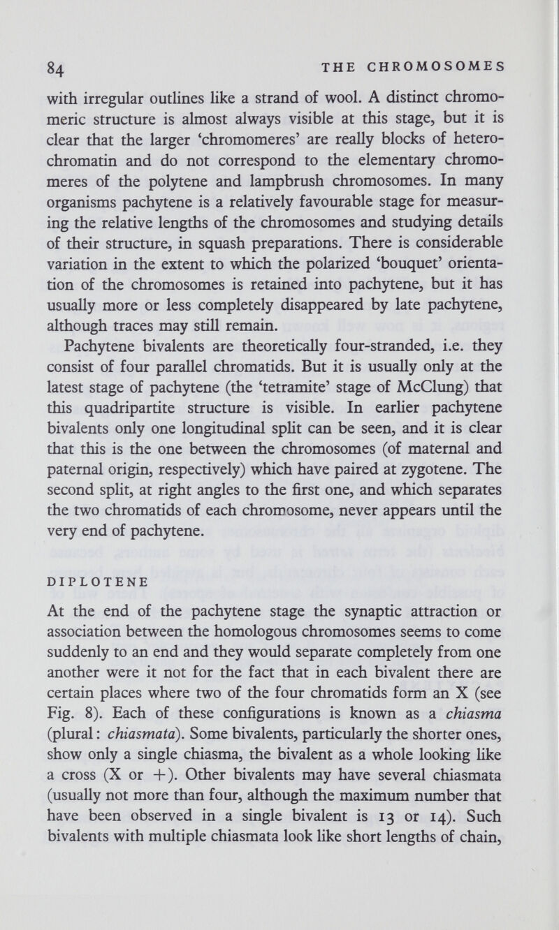 84 THE CHROMOSOMES with irregular outlines like a strand of wool. A distinct chromo- meric structure is almost always visible at this stage, but it is clear that the larger ^chromomeres' are really blocks of hetero- chromatin and do not correspond to the elementary chromo- meres of the poly tene and lampbrush chromosomes. In many organisms pachytene is a relatively favourable stage for measur¬ ing the relative lengths of the chromosomes and studying details of their structure, in squash preparations. There is considerable variation in the extent to which the polarized 'bouquet' orienta¬ tion of the chromosomes is retained into pachytene, but it has usually more or less completely disappeared by late pachytene, although traces may still remain. Pachytene bivalents are theoretically four-stranded, i.e. they consist of four parallel chromatids. But it is usually only at the latest stage of pachytene (the 'tetramite' stage of McClung) that this quadripartite structure is visible. In earlier pachytene bivalents only one longitudinal split can be seen, and it is clear that this is the one between the chromosomes (of maternal and paternal origin, respectively) which have paired at zygotene. The second split, at right angles to the first one, and which separates the two chromatids of each chromosome, never appears until the very end of pach5rtene. DIPLOTENE At the end of the pachytene stage the synaptic attraction or association between the homologous chromosomes seems to come suddenly to an end and they would separate completely from one another were it not for the fact that in each bivalent there are certain places where two of the four chromatids form an X (see Fig. 8). Each of these configurations is known as a chiasma (plural : chiasmata). Some bivalents, particularly the shorter ones, show only a single chiasma, the bivalent as a whole looking like a cross (X or +). Other bivalents may have several chiasmata (usually not more than four, although the maximum number that have been observed in a single bivalent is 13 or 14). Such bivalents with multiple chiasmata look like short lengths of chain.
