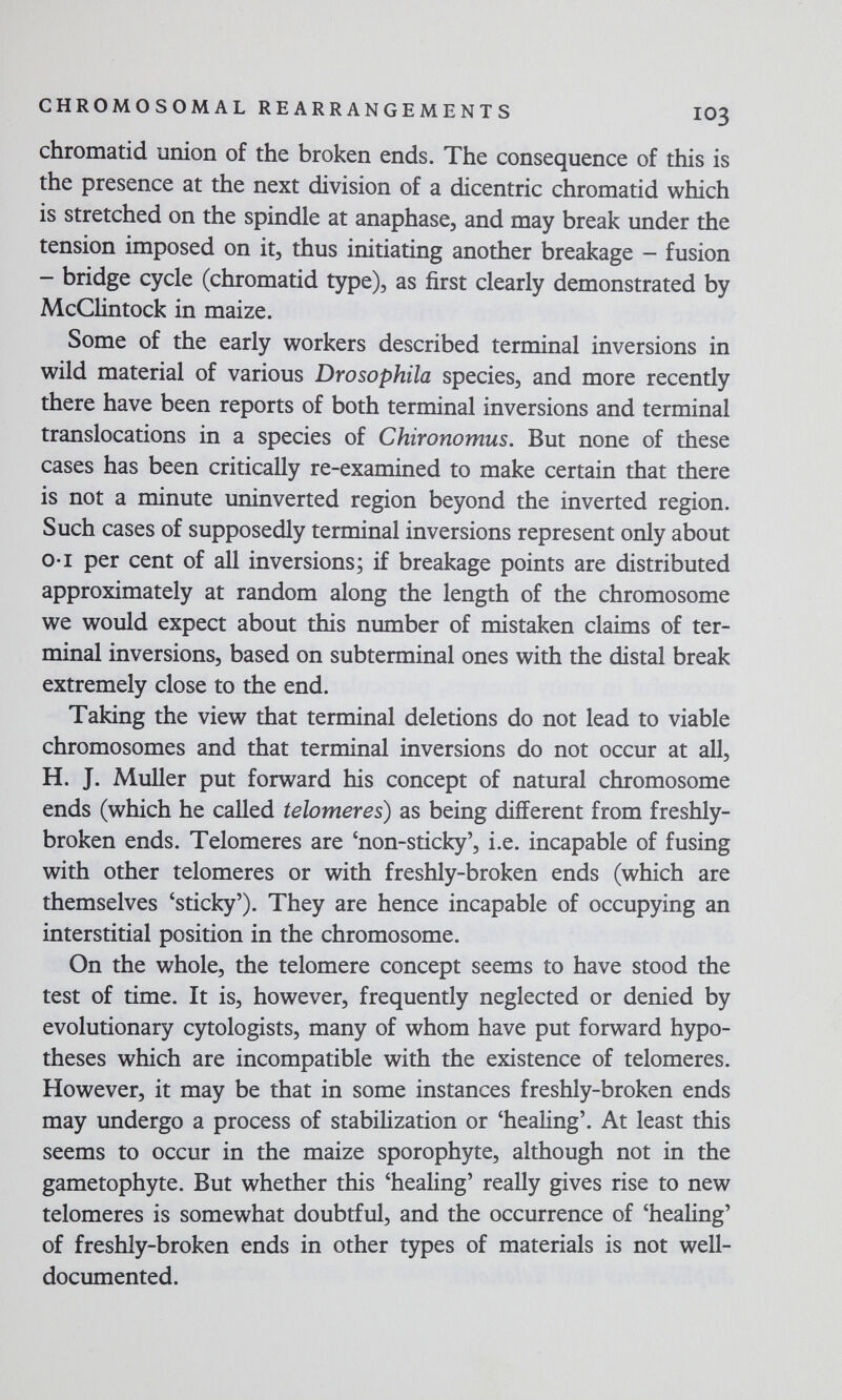 CHROMOSOMAL REARRANGEMENTS IO3 chromatid union of the broken ends. The consequence of this is the presence at the next division of a dicentric chromatid which is stretched on the spindle at anaphase, and may break under the tension imposed on it, thus initiating another breakage — fusion - bridge cycle (chromatid type), as first clearly demonstrated by McCUntock in maize. Some of the early workers described terminal inversions in wild material of various Drosophila species, and more recently there have been reports of both terminal inversions and terminal translocations in a species of Chironomus. But none of these cases has been critically re-examined to make certain that there is not a minute uninverted region beyond the inverted region. Such cases of supposedly terminal inversions represent only about o-i per cent of all inversions; if breakage points are distributed approximately at random along the length of the chromosome we would expect about this number of mistaken claims of ter¬ minal inversions, based on subterminal ones with the distal break extremely close to the end. Taking the view that terminal deletions do not lead to viable chromosomes and that terminal inversions do not occur at all, H. J. Muller put forward his concept of natural chromosome ends (which he called telomeres) as being different from freshly- broken ends. Telomeres are 'non-sticky', i.e. incapable of fusing with other telomeres or with freshly-broken ends (which are themselves 'sticky'). They are hence incapable of occupying an interstitial position in the chromosome. On the whole, the telomere concept seems to have stood the test of time. It is, however, frequently neglected or denied by evolutionary cytologists, many of whom have put forward hypo¬ theses which are incompatible with the existence of telomeres. However, it may be that in some instances freshly-broken ends may undergo a process of stabiHzation or 'healing'. At least this seems to occur in the maize sporophyte, although not in the gametophyte. But whether this 'healing' really gives rise to new telomeres is somewhat doubtful, and the occurrence of 'healing' of freshly-broken ends in other types of materials is not well- documented.