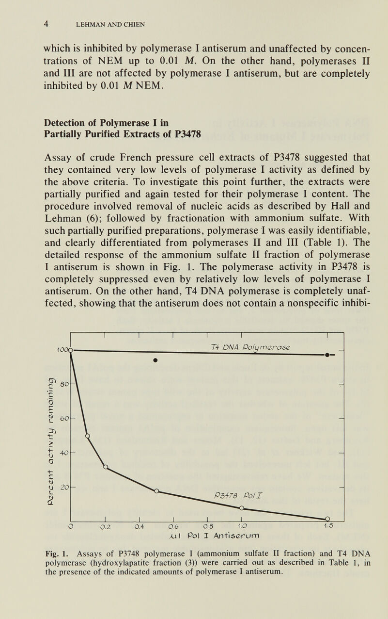 4 LEHMAN AND CHIEN which is inhibited by polymerase I antiserum and unaffected by concen¬ trations of NEM up to 0.01 M. On the other hand, polymerases II and III are not affected by polymerase I antiserum, but are completely inhibited by 0.01 M NEM. Detection of Polymerase I in Partially Purified Extracts of P3478 Assay of crude French pressure cell extracts of P3478 suggested that they contained very low levels of polymerase I activity as defined by the above criteria. To investigate this point further, the extracts were partially purified and again tested for their polymerase I content. The procedure involved removal of nucleic acids as described by Hall and Lehman (6); followed by fractionation with ammonium sulfate. With such partially purified preparations, polymerase I was easily identifiable, and clearly differentiated from polymerases II and III (Table 1). The detailed response of the ammonium sulfate II fraction of polymerase I antiserum is shown in Fig. 1. The polymerase activity in P3478 is completely suppressed even by relatively low levels of polymerase I antiserum. On the other hand, T4 DNA polymerase is completely unaf¬ fected, showing that the antiserum does not contain a nonspecific inhibi- Pol I Antisc-rum Fig. 1. Assays of P3748 polymerase I (ammonium sulfate II fraction) and T4 DNA polymerase (hydroxylapatite fraction (3)) were carried out as described in Table 1, in the presence of the indicated amounts of polymerase I antiserum.