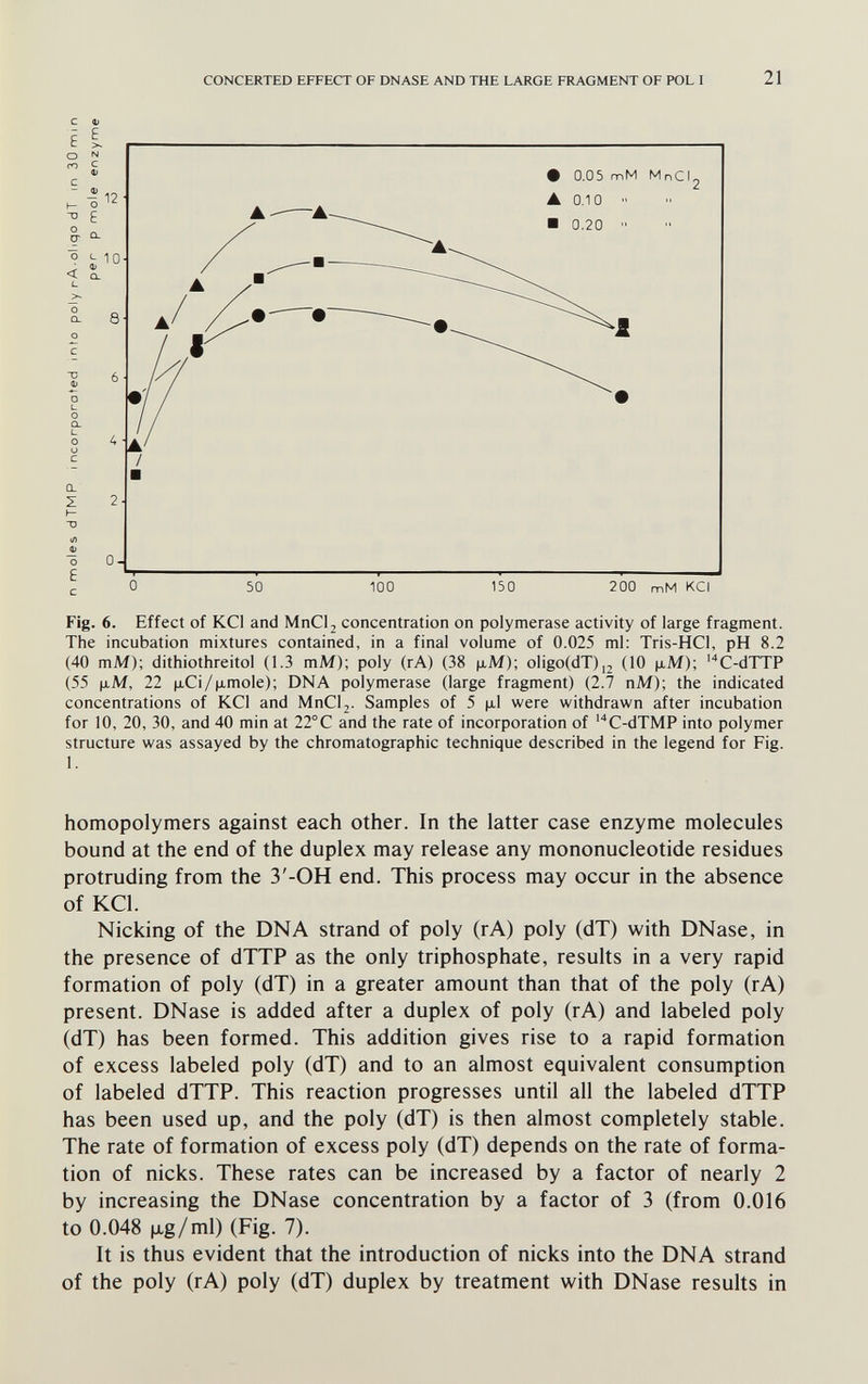 CONCERTED EFFECT OF DNASE AND THE LARGE FRAGMENT OF POL I 21 200 mM KCl Fig. 6. Effect of KCl and MnClj concentration on polymerase activity of large fragment. The incubation mixtures contained, in a final volume of 0.025 ml: Tris-HCl, pH 8.2 (40 mM); dithiothreitol (1.3 mM); poly (rA) (38 ц.М); oligo(dT),2 (10 fíM); 'C-dTTP (55 Ц.М, 22 ijlCí/limole); DNA polymerase (large fragment) (2.7 пМ); the indicated concentrations of KCl and MnCl2. Samples of 5 |jl1 were withdrawn after incubation for 10, 20, 30, and 40 min at 22°C and the rate of incorporation of 'C-dTMP into polymer structure was assayed by the chromatographic technique described in the legend for Fig. 1. homopolymers against each other. In the latter case enzyme molecules bound at the end of the duplex may release any mononucleotide residues protruding from the 3'-0H end. This process may occur in the absence of KCl. Nicking of the DNA strand of poly (rA) poly (dT) with DNase, in the presence of dTTP as the only triphosphate, results in a very rapid formation of poly (dT) in a greater amount than that of the poly (rA) present. DNase is added after a duplex of poly (rA) and labeled poly (dT) has been formed. This addition gives rise to a rapid formation of excess labeled poly (dT) and to an almost equivalent consumption of labeled dTTP. This reaction progresses until all the labeled dTTP has been used up, and the poly (dT) is then almost completely stable. The rate of formation of excess poly (dT) depends on the rate of forma¬ tion of nicks. These rates can be increased by a factor of nearly 2 by increasing the DNase concentration by a factor of 3 (from 0.016 to 0.048 M-g/ml) (Fig. 7). It is thus evident that the introduction of nicks into the DNA strand of the poly (rA) poly (dT) duplex by treatment with DNase results in