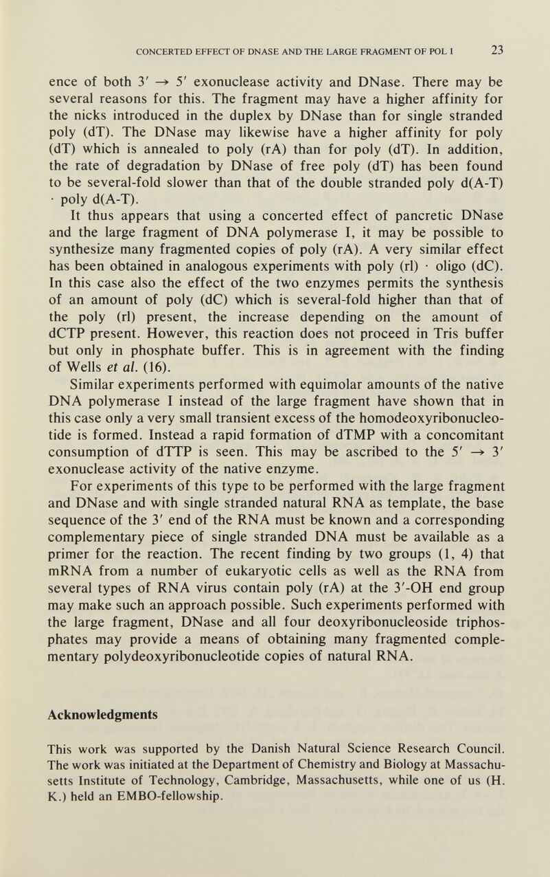 CONCERTED EFFECT OF DNASE AND THE LARGE FRAGMENT OF POL I 23 enee of both 3' —> 5' exonuclease activity and DNase. There may be several reasons for this. The fragment may have a higher affinity for the nicks introduced in the duplex by DNase than for single stranded poly (dT). The DNase may likewise have a higher affinity for poly (dT) which is annealed to poly (rA) than for poly (dT). In addition, the rate of degradation by DNase of free poly (dT) has been found to be several-fold slower than that of the double stranded poly d(A-T) • poly d(A-T). It thus appears that using a concerted effect of pancretic DNase and the large fragment of DNA polymerase I, it may be possible to synthesize many fragmented copies of poly (rA). A very similar effect has been obtained in analogous experiments with poly (rl) • oligo (dC). In this case also the effect of the two enzymes permits the synthesis of an amount of poly (dC) which is several-fold higher than that of the poly (rl) present, the increase depending on the amount of dCTP present. However, this reaction does not proceed in Tris buffer but only in phosphate buffer. This is in agreement with the finding of Wells et al. (16). Similar experiments performed with equimolar amounts of the native DNA polymerase I instead of the large fragment have shown that in this case only a very small transient excess of the homodeoxyribonucleo- tide is formed. Instead a rapid formation of dTMP with a concomitant consumption of dTTP is seen. This may be ascribed to the 5' ^ 3' exonuclease activity of the native enzyme. For experiments of this type to be performed with the large fragment and DNase and with single stranded natural RNA as template, the base sequence of the 3' end of the RNA must be known and a corresponding complementary piece of single stranded DNA must be available as a primer for the reaction. The recent finding by two groups (1,4) that mRNA from a number of eukaryotic cells as well as the RNA from several types of RNA virus contain poly (rA) at the 3'-0H end group may make such an approach possible. Such experiments performed with the large fragment, DNase and all four deoxyribonucleoside triphos¬ phates may provide a means of obtaining many fragmented comple¬ mentary polydeoxyribonucleotide copies of natural RNA. Acknowledgments This work was supported by the Danish Natural Science Research Council. The work was initiated at the Department of Chemistry and Biology at Massachu¬ setts Institute of Technology, Cambridge, Massachusetts, while one of us (H. K.) held an EMBO-fellowship.