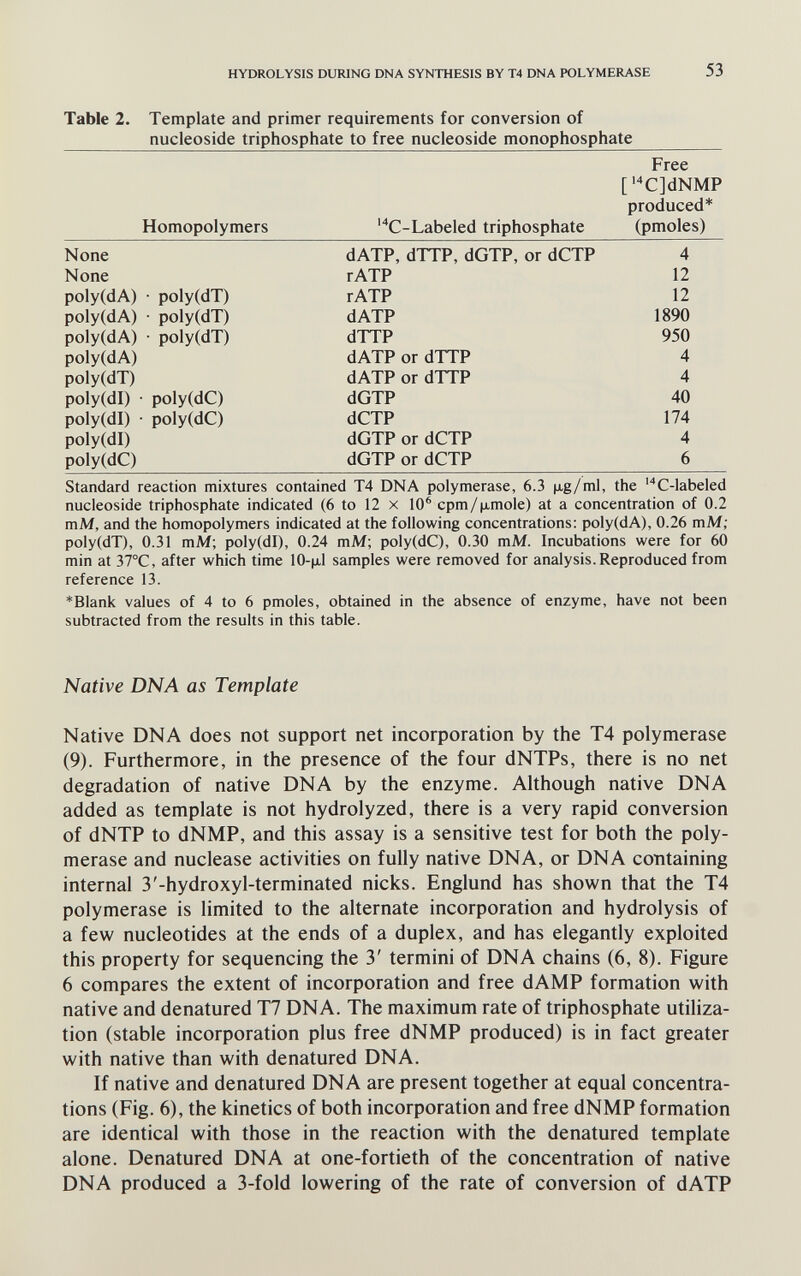 HYDROLYSIS DURING DNA SYNTHESIS BY T4 DNA POLYMERASE 53 Table 2. Template and primer requirements for conversion of nucleoside triphosphate to free nucleoside monophosphate Standard reaction mixtures contained T4 DNA polymerase, 6.3 jig/ml, the 'C-labeled nucleoside triphosphate indicated (6 to 12 x 10® cpm/|xmole) at a concentration of 0.2 mM, and the homopolymers indicated at the following concentrations: poly(dA), 0.26 mM; poly(dT), 0.31 mM; poly(dl), 0.24 mM; poly(dC), 0.30 mM. Incubations were for 60 min at 37°C, after which time 10-|xl samples were removed for analysis. Reproduced from reference 13. *Blank values of 4 to 6 pmoles, obtained in the absence of enzyme, have not been subtracted from the results in this table. Native DNA as Template Native DNA does not support net incorporation by the T4 polymerase (9). Furthermore, in the presence of the four dNTPs, there is no net degradation of native DNA by the enzyme. AUhough native DNA added as template is not hydrolyzed, there is a very rapid conversion of dNTP to dNMP, and this assay is a sensitive test for both the poly¬ merase and nuclease activities on fully native DNA, or DNA containing internal 3'-hydroxyl-terminated nicks. Englund has shown that the T4 polymerase is limited to the alternate incorporation and hydrolysis of a few nucleotides at the ends of a duplex, and has elegantly exploited this property for sequencing the 3' termini of DNA chains (6, 8). Figure 6 compares the extent of incorporation and free dAMP formation with native and denatured T7 DNA. The maximum rate of triphosphate utiliza¬ tion (stable incorporation plus free dNMP produced) is in fact greater with native than with denatured DNA. If native and denatured DNA are present together at equal concentra¬ tions (Fig. 6), the kinetics of both incorporation and free dNMP formation are identical with those in the reaction with the denatured template alone. Denatured DNA at one-fortieth of the concentration of native DNA produced a 3-fold lowering of the rate of conversion of dATP