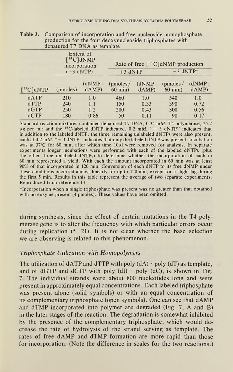 HYDROLYSIS DURING DNA SYNTHESIS BY T4 DNA TOLYMERASE 55 Table 3. Comparison of incorporation and free nucleoside monophosphate production for the four deoxynucleoside triphosphates with denatured T7 DNA as template Extent of [•CJdNMP ^ incorporation [ CJdNMP production Standard reaction mixtures contained denatured T7 DNA, 0.34 mM; T4 polymerase, 25.2 fxg per ml; and the 'C-labeled dNTP indicated, 0.2 mM. + 3 dNTP indicates that in addition to the labeled dNTP, the three remaining unlabeled dNTPs were also present, each at 0.2 mM. 3 dNTP indicates that only the labeled dNTP was present. Incubation was at 37°C for 60 min, after which time lOp.1 were removed for analysis. In separate experiments longer incubations were performed with each of the labeled dNTPs (plus the other three unlabeled dNTPs) to determine whether the incorporation of each in 60 min represented a yield. With each the amount incorporated in 60 min was at least 90% of that incorporated in 120 min. Conversion of each dNTP to its free dNMP under these conditions occurred almost linearly for up to 120 min, except for a slight lag during the first 5 min. Results in this table represent the average of two separate experiments. Reproduced from reference 13. ^Incorporation when a single triphosphate was present was no greater than that obtained with no enzyme present (4 pmoles). These values have been omitted. during synthesis, since the effect of certain mutations in the T4 poly¬ merase gene is to alter the frequency with which particular errors occur during replication (5, 21). It is not clear whether the base selection we are observing is related to this phenomenon. Triphosphate Utilization with Homopolymers The utilization of dATP and dTTP with poly (dA) ■ poly (dT) as template, and of dGTP and dCTP with poly (dl) • poly (dC), is shown in Fig. 7. The individual strands were about 800 nucleotides long and were present in approximately equal concentrations. Each labeled triphosphate was present alone (solid symbols) or with an equal concentration of its complementary triphosphate (open symbols). One can see that dAMP and dTMP incorporated into polymer are degraded (Fig. 7, A and B) in the later stages of the reaction. The degradation is somewhat inhibited by the presence of the complementary triphosphate, which would de¬ crease the rate of hydrolysis of the strand serving as template. The rates of free dAMP and dTMP formation are more rapid than those for incorporation. (Note the difference in scales for the two reactions.)