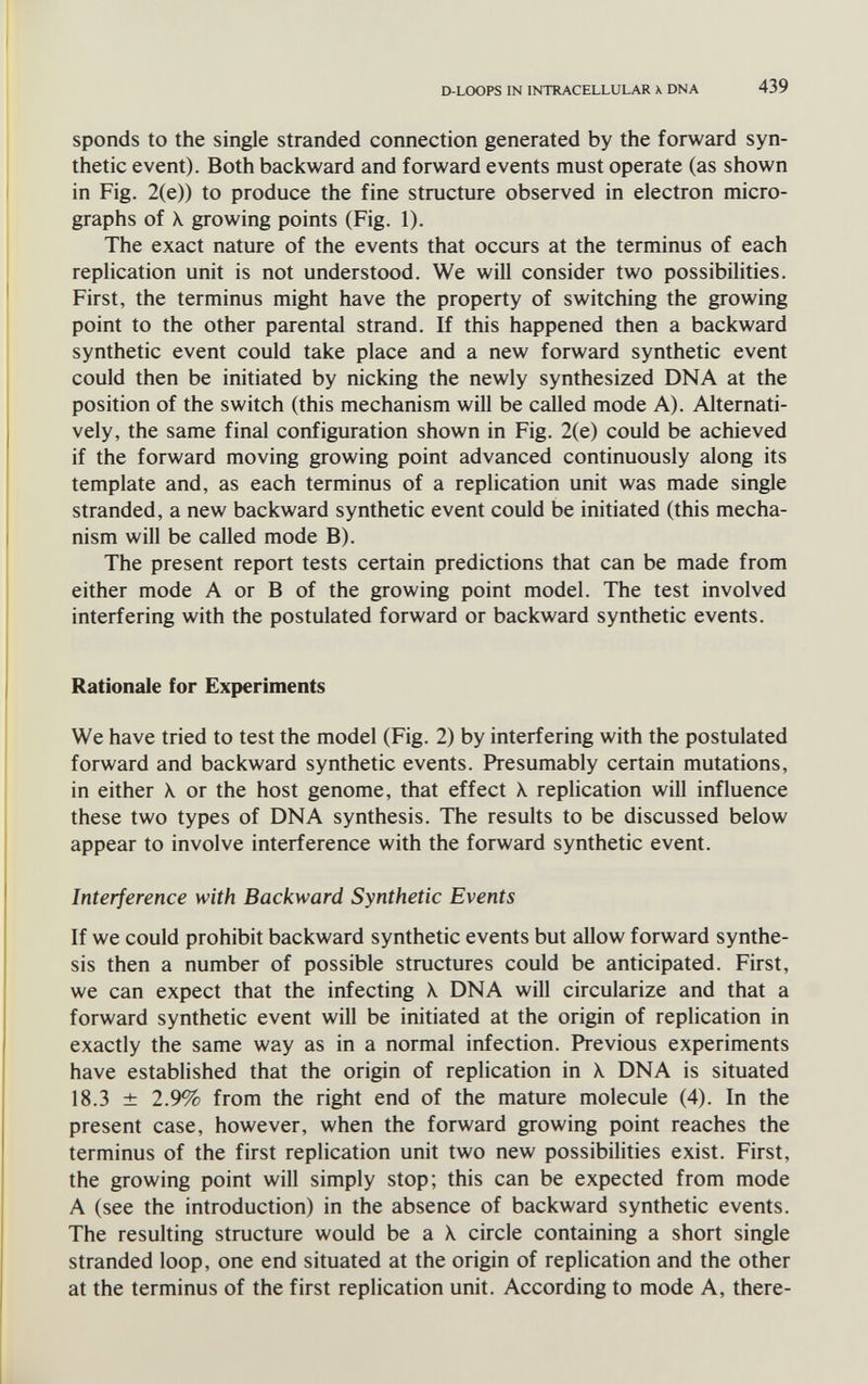 D-LOOPS IN INTRACELLULAR X DNA 439 sponds to the single stranded connection generated by the forward syn¬ thetic event). Both backward and forward events must operate (as shown in Fig. 2(e)) to produce the fine structure observed in electron micro¬ graphs of \ growing points (Fig. 1). The exact nature of the events that occurs at the terminus of each replication unit is not understood. We will consider two possibilities. First, the terminus might have the property of switching the growing point to the other parental strand. If this happened then a backward synthetic event could take place and a new forward synthetic event could then be initiated by nicking the newly synthesized DNA at the position of the switch (this mechanism will be called mode A). Alternati¬ vely, the same final configuration shown in Fig. 2(e) could be achieved if the forward moving growing point advanced continuously along its template and, as each terminus of a replication unit was made single stranded, a new backward synthetic event could be initiated (this mecha¬ nism will be called mode B). The present report tests certain predictions that can be made from either mode A or В of the growing point model. The test involved interfering with the postulated forward or backward synthetic events. Rationale for Experiments We have tried to test the model (Fig. 2) by interfering with the postulated forward and backward synthetic events. Presumably certain mutations, in either \ or the host genome, that effect X replication will influence these two types of DNA synthesis. The results to be discussed below appear to involve interference with the forward synthetic event. Interference with Backward Synthetic Events If we could prohibit backward synthetic events but allow forward synthe¬ sis then a number of possible structures could be anticipated. First, we can expect that the infecting X DNA will circularize and that a forward synthetic event will be initiated at the origin of replication in exactly the same way as in a normal infection. Previous experiments have established that the origin of replication in X DNA is situated 18.3 ± 2.9% from the right end of the mature molecule (4). In the present case, however, when the forward growing point reaches the terminus of the first replication unit two new possibilities exist. First, the growing point will simply stop; this can be expected from mode A (see the introduction) in the absence of backward synthetic events. The resulting structure would be a X circle containing a short single stranded loop, one end situated at the origin of replication and the other at the terminus of the first replication unit. According to mode A, there-