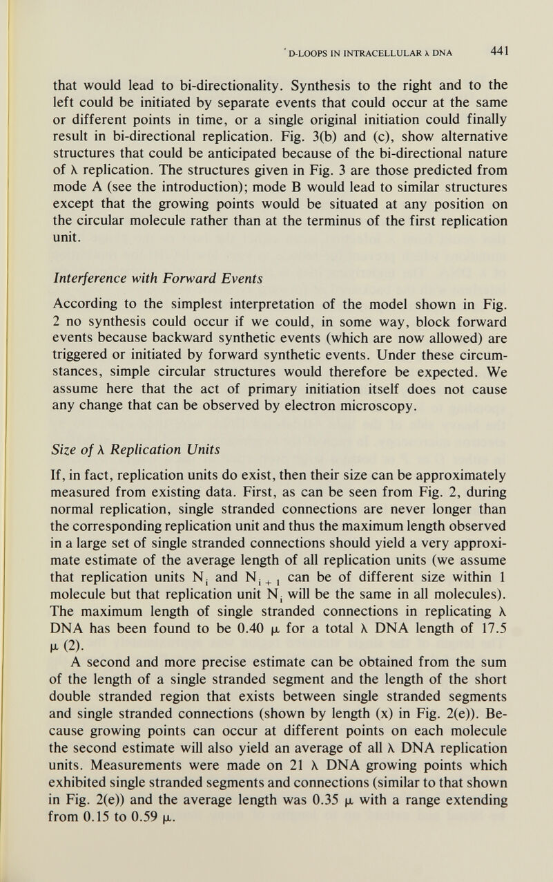 ■ d-loops in intracellular x dna 441 that would lead to bi-directionality. Synthesis to the right and to the left could be initiated by separate events that could occur at the same or different points in time, or a single original initiation could finally result in bi-directional replication. Fig. 3(b) and (c), show alternative structures that could be anticipated because of the bi-directional nature of \ replication. The structures given in Fig. 3 are those predicted from mode A (see the introduction); mode В would lead to similar structures except that the growing points would be situated at any position on the circular molecule rather than at the terminus of the first replication unit. Interference with Forward Events According to the simplest interpretation of the model shown in Fig. 2 no synthesis could occur if we could, in some way, block forward events because backward synthetic events (which are now allowed) are triggered or initiated by forward synthetic events. Under these circum¬ stances, simple circular structures would therefore be expected. We assume here that the act of primary initiation itself does not cause any change that can be observed by electron microscopy. Size of Л Replication Units If, in fact, replication units do exist, then their size can be approximately measured from existing data. First, as can be seen from Fig. 2, during normal replication, single stranded connections are never longer than the corresponding replication unit and thus the maximum length observed in a large set of single stranded connections should yield a very approxi¬ mate estimate of the average length of all replication units (we assume that replication units Nj and Nj ^ j can be of different size within 1 molecule but that replication unit N; will be the same in all molecules). The maximum length of single stranded connections in replicating \ DNA has been found to be 0.40 (jl for a total \ DNA length of 17.5 M- (2). A second and more precise estimate can be obtained from the sum of the length of a single stranded segment and the length of the short double stranded region that exists between single stranded segments and single stranded connections (shown by length (x) in Fig. 2(e)). Be¬ cause growing points can occur at different points on each molecule the second estimate will also yield an average of all \ DNA replication units. Measurements were made on 21 X. DNA growing points which exhibited single stranded segments and connections (similar to that shown in Fig. 2(e)) and the average length was 0.35 |jl with a range extending from 0.15 to 0.59 |jl.