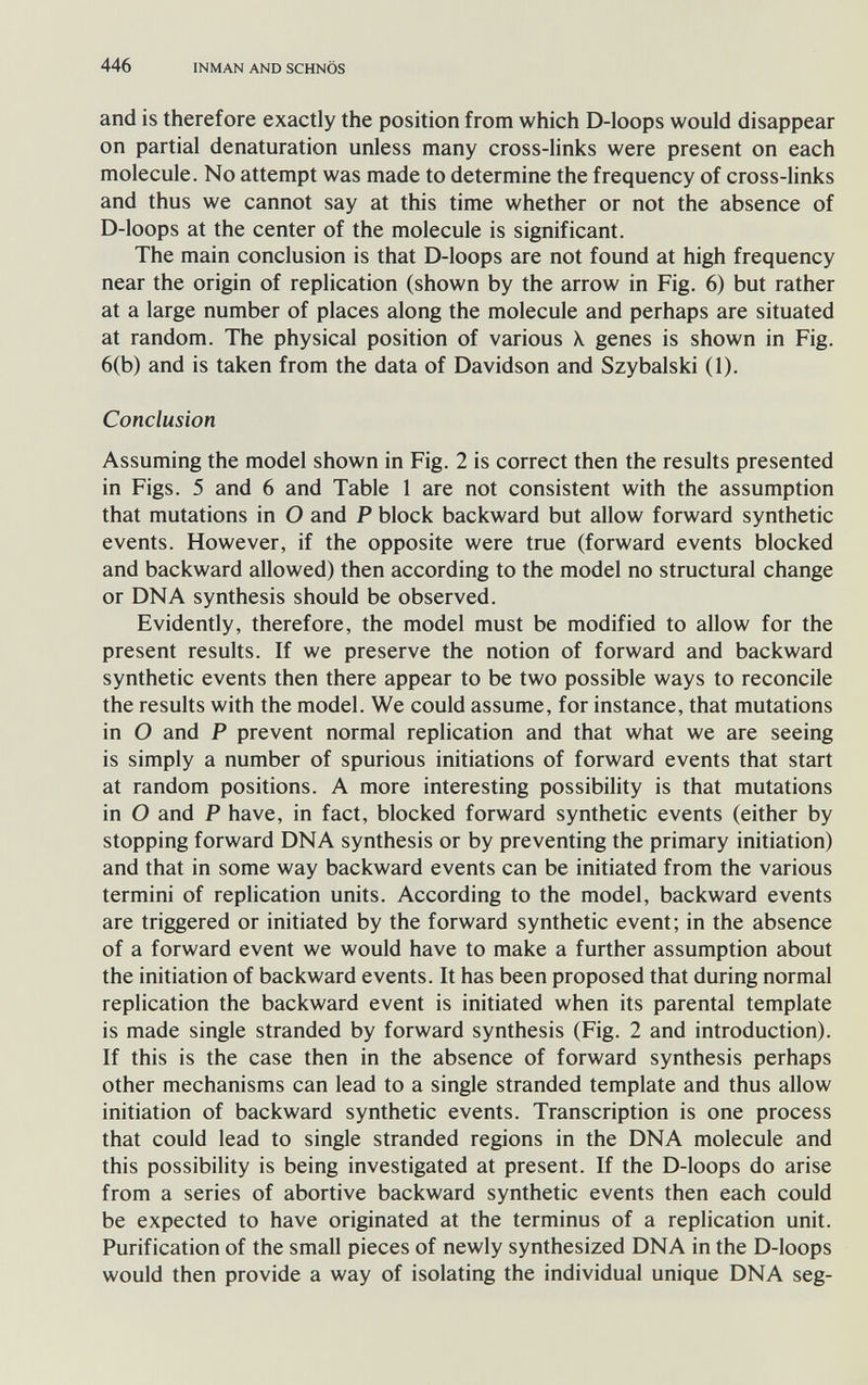 446 INMAN AND SCHNÖS and is therefore exactly the position from which D-Ioops would disappear on partial denaturation unless many cross-links were present on each molecule. No attempt was made to determine the frequency of cross-links and thus we cannot say at this time whether or not the absence of D-loops at the center of the molecule is significant. The main conclusion is that D-loops are not found at high frequency near the origin of replication (shown by the arrow in Fig. 6) but rather at a large number of places along the molecule and perhaps are situated at random. The physical position of various X. genes is shown in Fig. 6(b) and is taken from the data of Davidson and Szybalski (1). Conclusion Assuming the model shown in Fig. 2 is correct then the results presented in Figs. 5 and 6 and Table 1 are not consistent with the assumption that mutations in О and P block backward but allow forward synthetic events. However, if the opposite were true (forward events blocked and backward allowed) then according to the model no structural change or DNA synthesis should be observed. Evidently, therefore, the model must be modified to allow for the present results. If we preserve the notion of forward and backward synthetic events then there appear to be two possible ways to reconcile the results with the model. We could assume, for instance, that mutations in О and P prevent normal replication and that what we are seeing is simply a number of spurious initiations of forward events that start at random positions. A more interesting possibility is that mutations in О and P have, in fact, blocked forward synthetic events (either by stopping forward DNA synthesis or by preventing the primary initiation) and that in some way backward events can be initiated from the various termini of replication units. According to the model, backward events are triggered or initiated by the forward synthetic event; in the absence of a forward event we would have to make a further assumption about the initiation of backward events. It has been proposed that during normal replication the backward event is initiated when its parental template is made single stranded by forward synthesis (Fig. 2 and introduction). If this is the case then in the absence of forward synthesis perhaps other mechanisms can lead to a single stranded template and thus allow initiation of backward synthetic events. Transcription is one process that could lead to single stranded regions in the DNA molecule and this possibility is being investigated at present. If the D-loops do arise from a series of abortive backward synthetic events then each could be expected to have originated at the terminus of a replication unit. Purification of the small pieces of newly synthesized DNA in the D-loops would then provide a way of isolating the individual unique DNA seg-