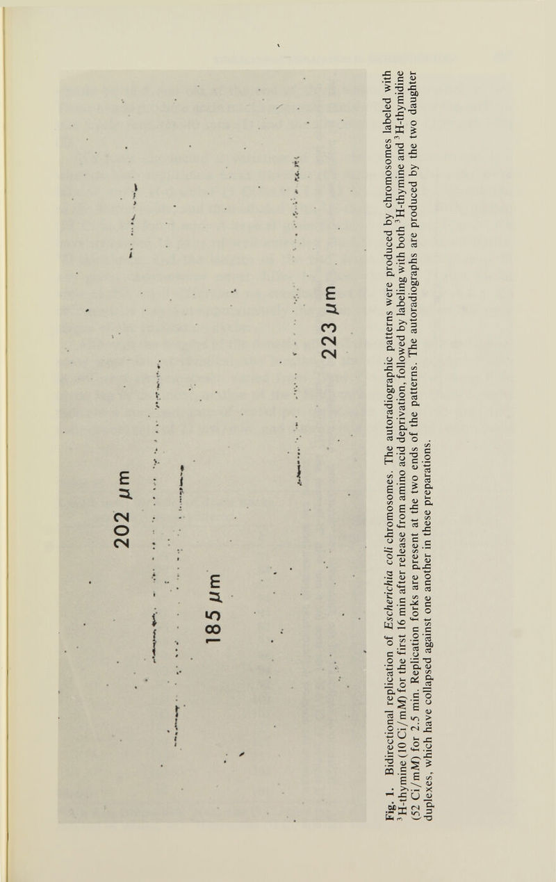 •к л « E со CS CN E =L CN О CN E U-) 00 о E' о 4= 0) .tí .С « ^ 5 -С -2 oc •о E 3 ií «J •£ x> V о ^X% ì/5 1) O 4) a С JC g л - ü >Ч .£ £ -о >» У w 3 S >>3н о x> ё. <L> О u- U X) Л -O-S Í2 о • — ^ > а Cu ^ л ÖO ti ìì;E о' > > Л m -■a ë S л âl^ ic *o «л a.,2 с C« . ir. ц- ^ ÛX) СЗ Ч-» .2 '•Б I ^ .2 л я > <L) cd 4> <4М О О ^.2 ^ С £ U ^ о Ss с о te i Ё в g- §Е^- g t - U о с: U ^ ли JS г) ■-- - о 2 ^ e л 4) .2 ü сл о TT 1) ^ о W «у •- cuj: au tí • ^ О) 4> О «С <-• »- с О ^ Л Й >к> ^ сл ^ С ^ -С *5 ^ с о Vi-, щ :£ g ц-| ■jt; О л -г: л л Ц- — CJ о й> — О S JZ а. <й Oí 9* ;:= о ^ Q.4- • S 1> с? -S Я E о |5s| li? СО .= e - ЕС (Г> • .¿>%.— X ^ U ü OÍniN ÍN Э* •— Дв i/-^ 3 fa m WT3