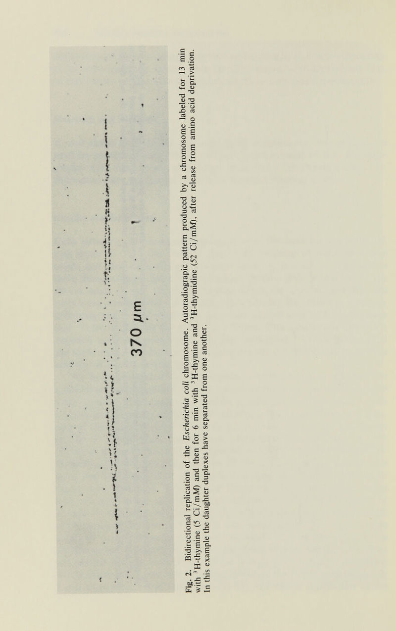 ? îî îl t: - < M i! H E з.- о к со гл л ^ > ^ 5 о а> ^ О (Ü 'о ^ 1^ л — о <и .Е s e 0 се W5 1 s 1-1 ■5 й Л ^ -Sá fli х> Ï- TD а> U . . 3 -О а> ёи 2.<N Ü ^ *а л .S бЬ.'Н .2 £ 'S 2 J= Ь; О ' зК -О л » Р о ' E ^ -с с ® .= с E ^ ^ iá 2 j= 5 ¿ ^ о ^ Д E ICS р о о ' : л e Л -С о с о tü О > С ^ с а -ч ^ sO сл а> •ÍS «и ^ J3 0) »H- w X о с с §• о я 3 л «- ■ - ^ ¿Í •5. Ё Ä Uад •— 3 'С «и о с <и 2Í E Е i PQ I DC ^ <s '