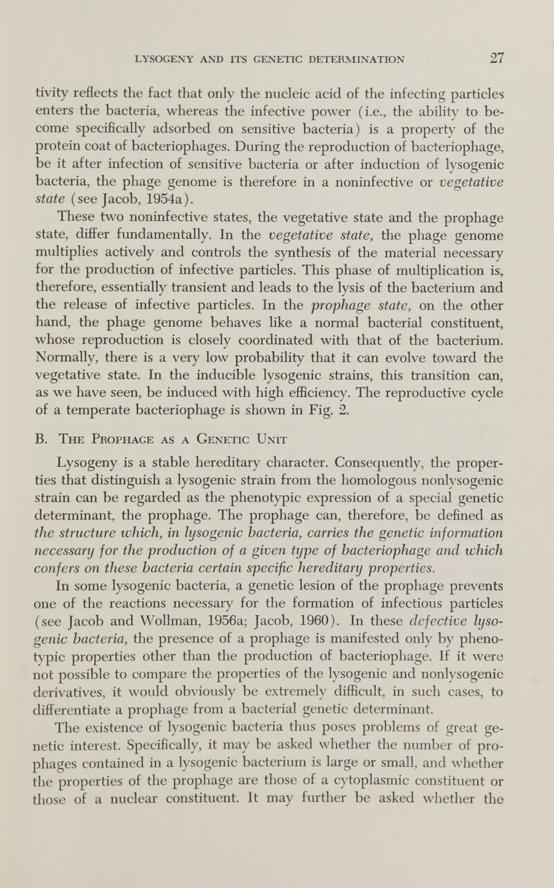 lysogeny and its genetic determination 27 tivity reflects the fact that only the nucleic acid of the infecting particles enters the bacteria, whereas the infective power (i.e., the ability to be¬ come specifically adsorbed on sensitive bacteria) is a property of the protein coat of bacteriophages. During the reproduction of bacteriophage, be it after infection of sensitive bacteria or after induction of lysogenic bacteria, the phage genome is therefore in a noninfective or vegetative state (see Jacob, 1954a). These two noninfective states, the vegetative state and the prophage state, differ fundamentally. In the vegetative state, the phage genome multiplies actively and controls the synthesis of the material necessary for the production of infective particles. This phase of multiplication is, therefore, essentially transient and leads to the lysis of the bacterium and the release of infective particles. In the prophage state, on the other hand, the phage genome behaves like a normal bacterial constituent, whose reproduction is closely coordinated with that of the bacterium. Normally, there is a very low probability that it can evolve toward the vegetative state. In the inducible lysogenic strains, this transition can, as we have seen, be induced with high efficiency. The reproductive cycle of a temperate bacteriophage is shown in Fig, 2, B. The Prophage as a Genetic Unit Lysogeny is a stable hereditary character. Consequently, the proper¬ ties that distinguish a lysogenic strain from the homologous nonlysogenic strain can be regarded as the phenotypic expression of a special genetic determinant, the prophage. The prophage can, therefore, be defined as the structure which, in hjsogenic bacteria, carries the genetic information necessary for the production of a given type of bacteriophage and which confers on these bacteria certain specific hereditary properties. In some lysogenic bacteria, a genetic lesion of the prophage prevents one of the reactions necessary for the formation of infectious particles (see Jacob and Wollman, 1956a; Jacob, 1960). In these defective lyso¬ genic bacteria, the presence of a prophage is manifested only by pheno¬ typic properties other than the production of bacteriophage. If it were not possible to compare the properties of the lysogenic and nonlysogenic derivatives, it would obviously be extremely difficult, in such cases, to differentiate a prophage from a bacterial genetic determinant. The existence of lysogenic bacteria thus poses problems of great ge¬ netic interest. Specifically, it may be asked whether the number of pro¬ phages contained in a lysogenic bacterium is large or small, and whether the properties of the prophage are those of a cytoplasmic constituent or those of a nuclear constituent. It may further be asked whether the