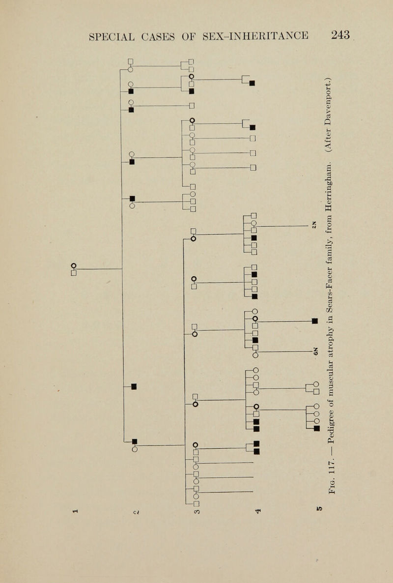 SPECIAL CASES OF SEX-INHERITANCE 243 О a a Q 0^ •4-» «Ч-Н С c3 Xi bli a и с О и Д ci Чн CJ о сЗ сЗ Oí m >> л а о и 3 о m í3 с ü ü Ui •SP i) Рч M fí