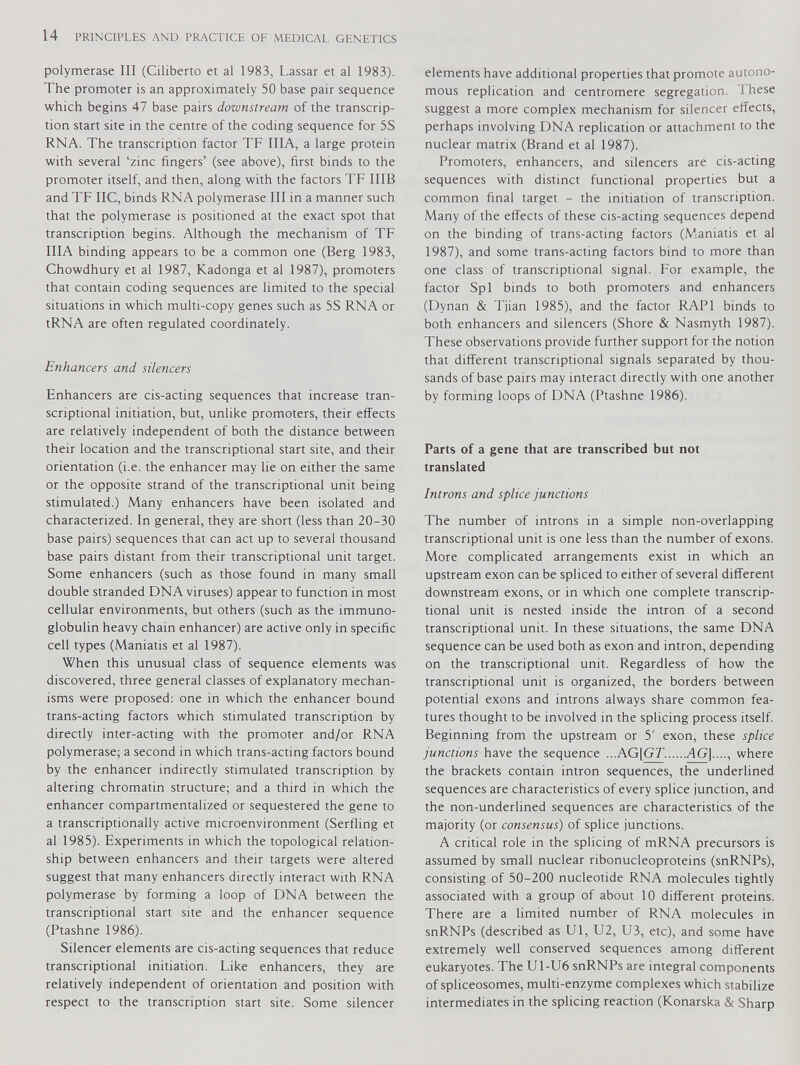 polymerase III (Ciliberto et al 1983, Lassar et al 1983). The promoter is an approximately 50 base pair sequence which begins 47 base pairs downstream of the transcrip tion start site in the centre of the coding sequence for 5S RNA. The transcription factor TF IIIA, a large protein with several ‘zinc fingers’ (see above), first binds to the promoter itself, and then, along with the factors TF IIIB and TF IIC, binds RNA polymerase III in a manner such that the polymerase is positioned at the exact spot that transcription begins. Although the mechanism of TF IIIA binding appears to be a common one (Berg 1983, Chowdhury et al 1987, Kadonga et al 1987), promoters that contain coding sequences are limited to the special situations in which multi-copy genes such as 5S RNA or tRNA are often regulated coordinately. Enhancers and silencers Enhancers are cis-acting sequences that increase tran scriptional initiation, but, unlike promoters, their effects are relatively independent of both the distance between their location and the transcriptional start site, and their orientation (i.e. the enhancer may lie on either the same or the opposite strand of the transcriptional unit being stimulated.) Many enhancers have been isolated and characterized. In general, they are short (less than 20-30 base pairs) sequences that can act up to several thousand base pairs distant from their transcriptional unit target. Some enhancers (such as those found in many small double stranded DNA viruses) appear to function in most cellular environments, but others (such as the immuno globulin heavy chain enhancer) are active only in specific cell types (Maniatis et al 1987). When this unusual class of sequence elements was discovered, three general classes of explanatory mechan isms were proposed: one in which the enhancer bound trans-acting factors which stimulated transcription by directly inter-acting with the promoter and/or RNA polymerase; a second in which trans-acting factors bound by the enhancer indirectly stimulated transcription by altering chromatin structure; and a third in which the enhancer compartmentalized or sequestered the gene to a transcriptionally active microenvironment (Serfling et al 1985). Experiments in which the topological relation ship between enhancers and their targets were altered suggest that many enhancers directly interact with RNA polymerase by forming a loop of DNA between the transcriptional start site and the enhancer sequence (Ptashne 1986). Silencer elements are cis-acting sequences that reduce transcriptional initiation. Like enhancers, they are relatively independent of orientation and position with respect to the transcription start site. Some silencer elements have additional properties that promote autono mous replication and centromere segregation. 1 hese suggest a more complex mechanism for silencer effects, perhaps involving DNA replication or attachment to the nuclear matrix (Brand et al 1987). Promoters, enhancers, and silencers are cis-acting sequences with distinct functional properties but a common final target - the initiation of transcription. Many of the effects of these cis-acting sequences depend on the binding of trans-acting factors (Maniatis et al 1987), and some trans-acting factors bind to more than one class of transcriptional signal. For example, the factor Spl binds to both promoters and enhancers (Dynan & Tjian 1985), and the factor RAP1 binds to both enhancers and silencers (Shore & Nasmyth 1987). These observations provide further support for the notion that different transcriptional signals separated by thou sands of base pairs may interact directly with one another by forming loops of DNA (Ptashne 1986). Parts of a gene that are transcribed but not translated Introns and splice junctions The number of introns in a simple non-overlapping transcriptional unit is one less than the number of exons. More complicated arrangements exist in which an upstream exon can be spliced to either of several different downstream exons, or in which one complete transcrip tional unit is nested inside the intron of a second transcriptional unit. In these situations, the same DNA sequence can be used both as exon and intron, depending on the transcriptional unit. Regardless of how the transcriptional unit is organized, the borders between potential exons and introns always share common fea tures thought to be involved in the splicing process itself. Beginning from the upstream or 5' exon, these splice junctions have the sequence ...AG [GT AG]...., where the brackets contain intron sequences, the underlined sequences are characteristics of every splice junction, and the non-underlined sequences are characteristics of the majority (or consensus) of splice junctions. A critical role in the splicing of mRNA precursors is assumed by small nuclear ribonucleoproteins (snRNPs), consisting of 50-200 nucleotide RNA molecules tightly associated with a group of about 10 different proteins. There are a limited number of RNA molecules in snRNPs (described as Ul, U2, U3, etc), and some have extremely well conserved sequences among different eukaryotes. The U1-U6 snRNPs are integral components of spliceosomes, multi-enzyme complexes which stabilize intermediates in the splicing reaction (Konarska & Sharp